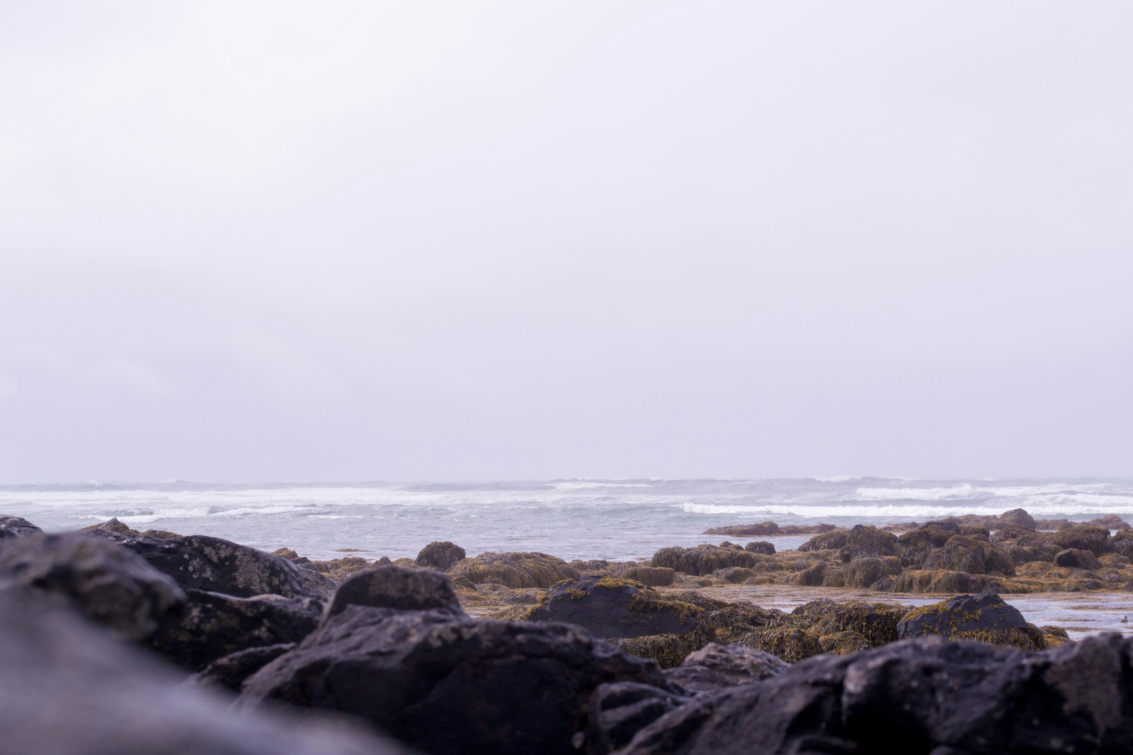 Photo by soff_garavano