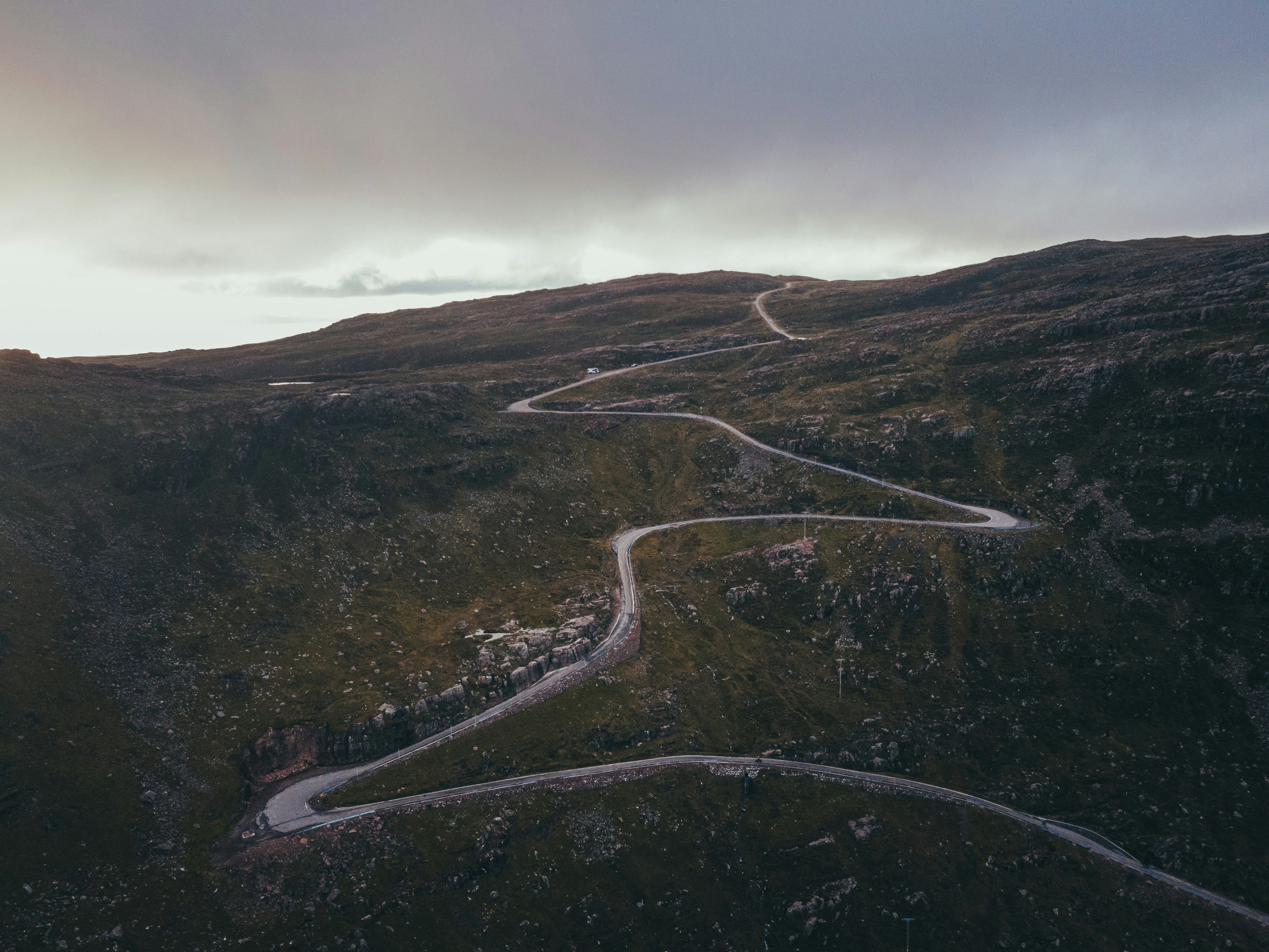 aerial view of road between trees