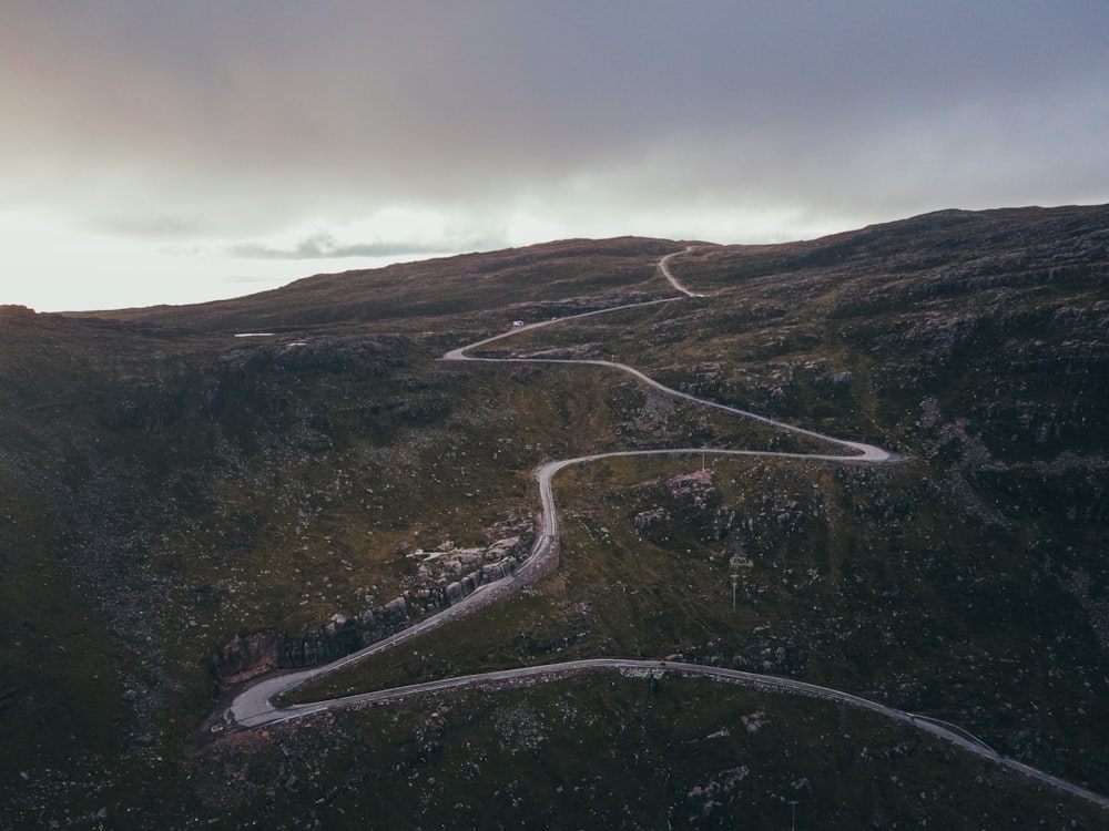 aerial view of road between trees