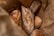 A variety of freshly baked bread inside a brown paper bag. The assortment includes a prominently visible crusty baguette with a golden-brown crust and flour dusting. Additional loaves of different bread types, including a round bun, are also present, all exhibiting a rustic and artisanal appearance.