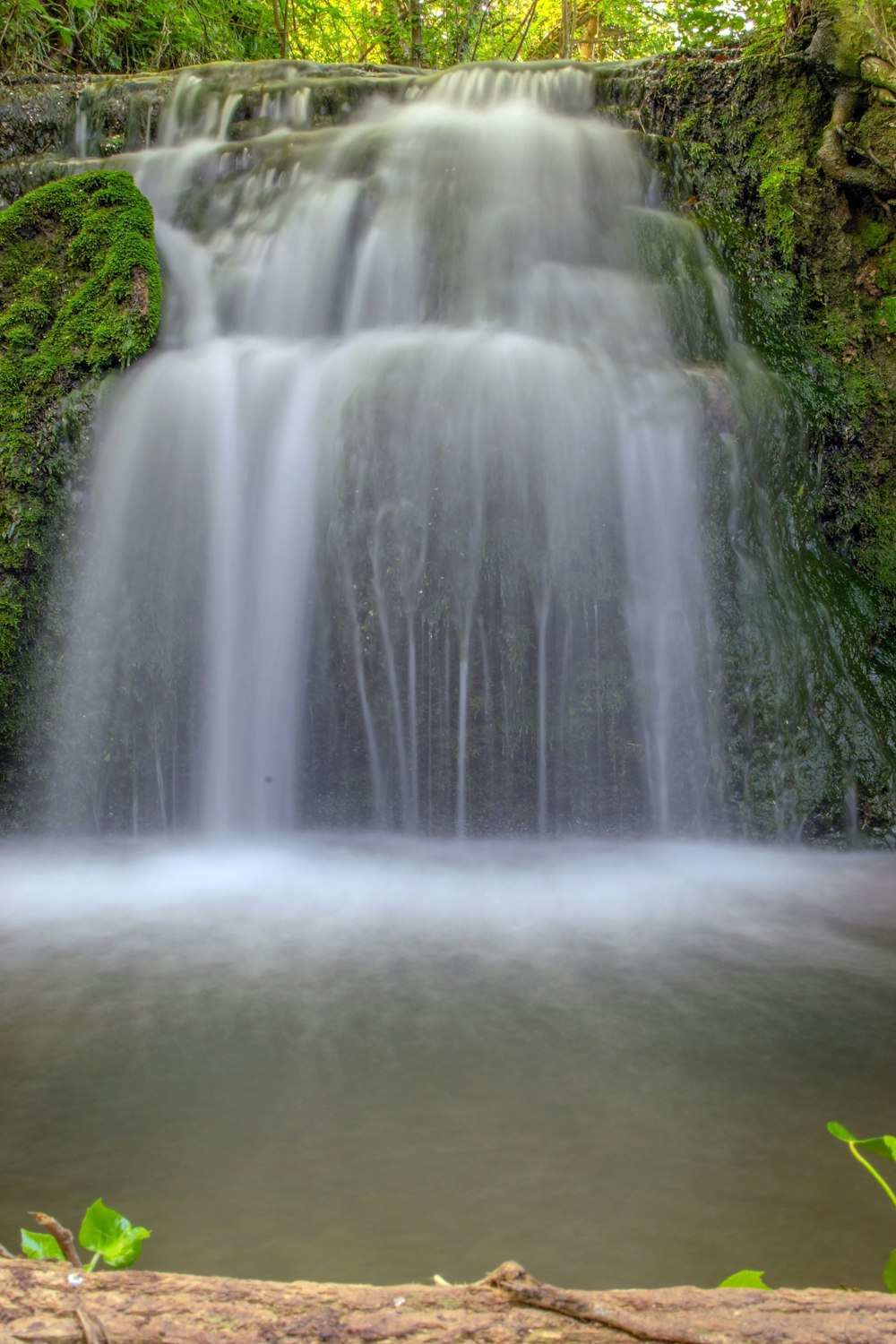 water falls in the middle of green trees