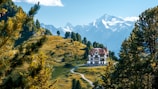 A large, elegant villa is situated in a picturesque mountain landscape. Surrounded by vibrant green trees and a winding pathway leading to the building, the scene features majestic snow-capped mountains in the background under a clear blue sky. The lush greenery and serene environment suggest a peaceful and secluded location.