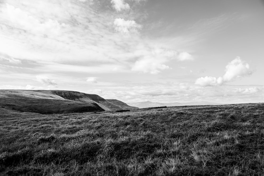 grayscale photo of grass field