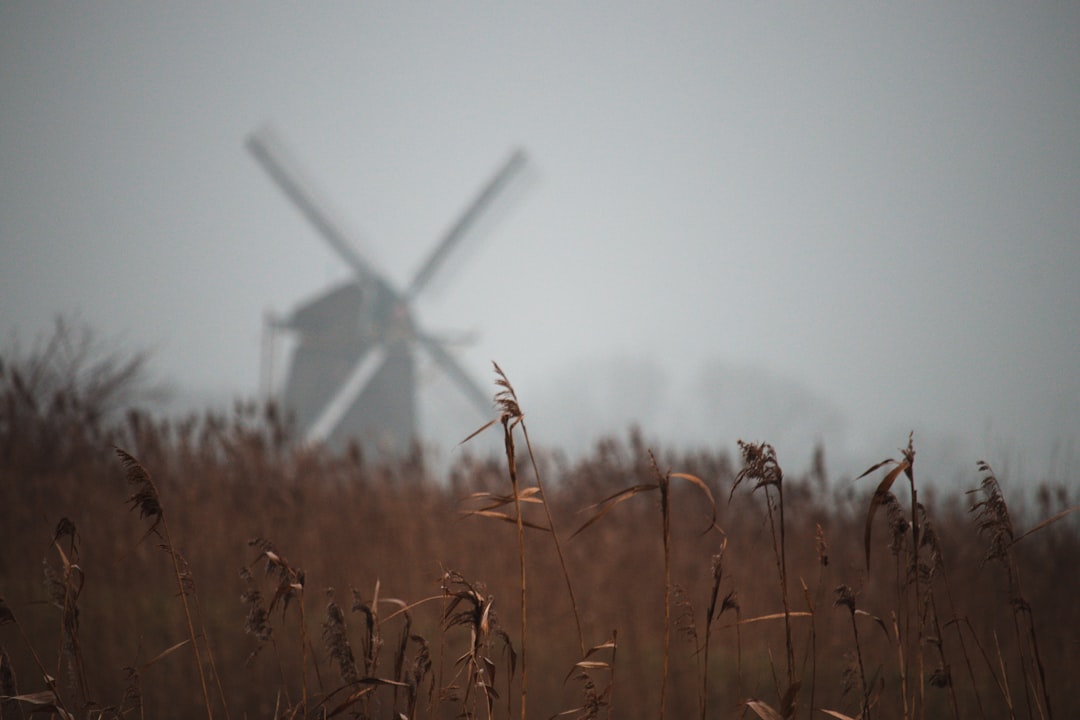 white windmill on brown grass field during daytime