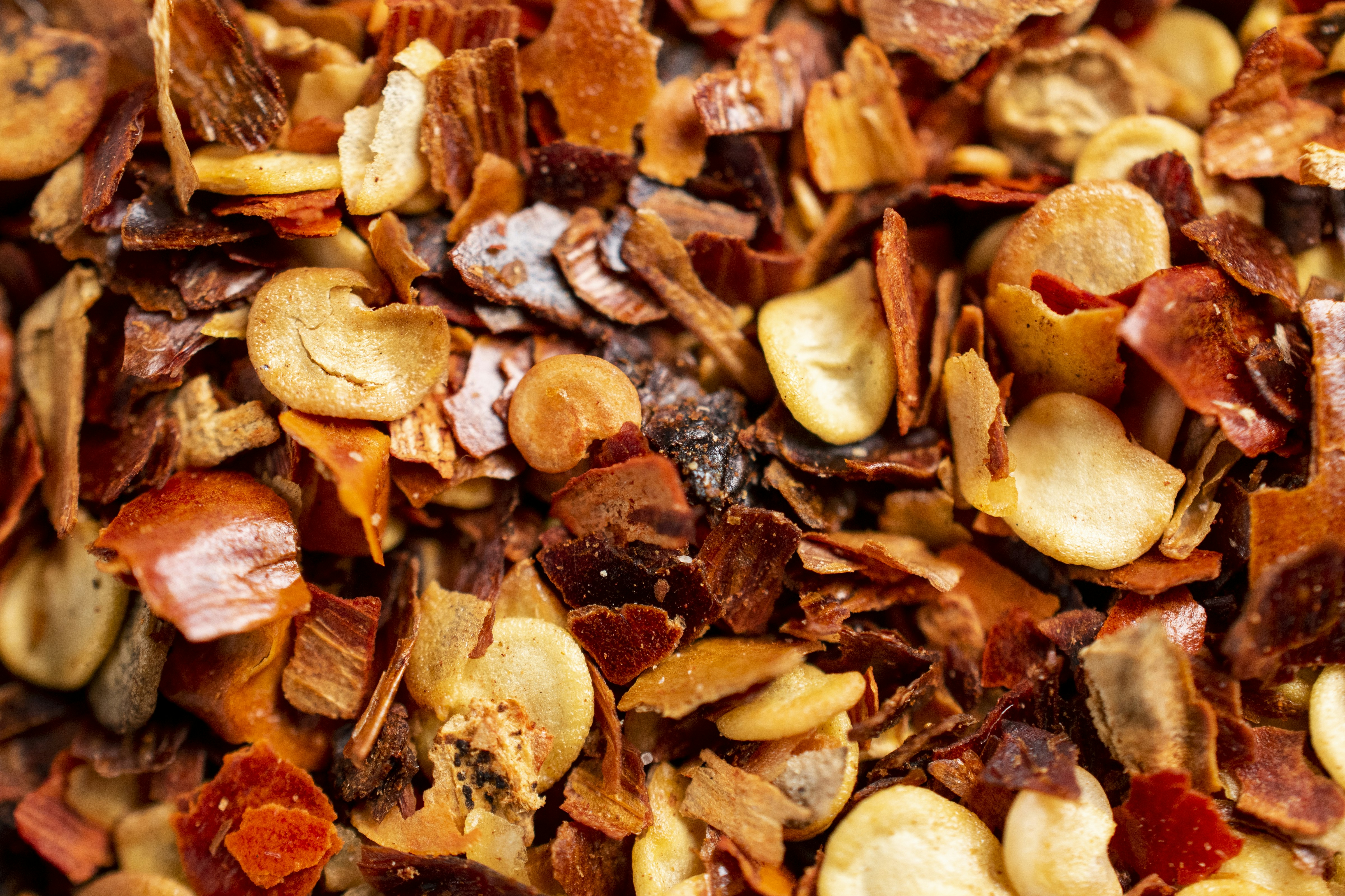 Photo by yashgupta13