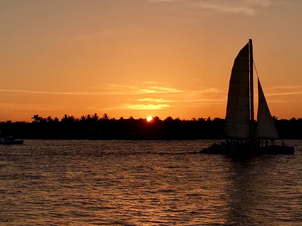 silhouette of trees near body of water during sunset