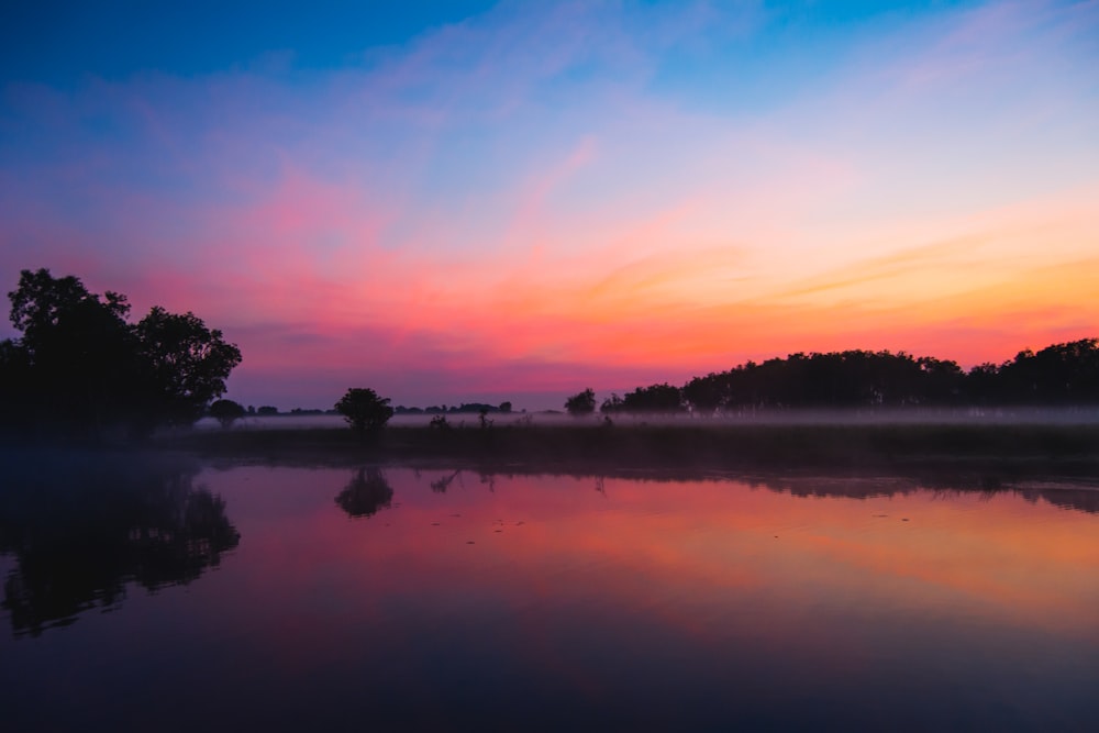 silhouette of trees near body of water during sunset