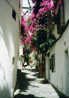 Amy and Mike walking through a narrow cobblestone street lined with vibrant azulejo tiles.