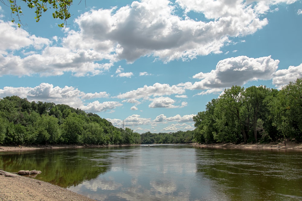 arbres verts au bord de la rivière sous le ciel bleu et les nuages blancs pendant la journée