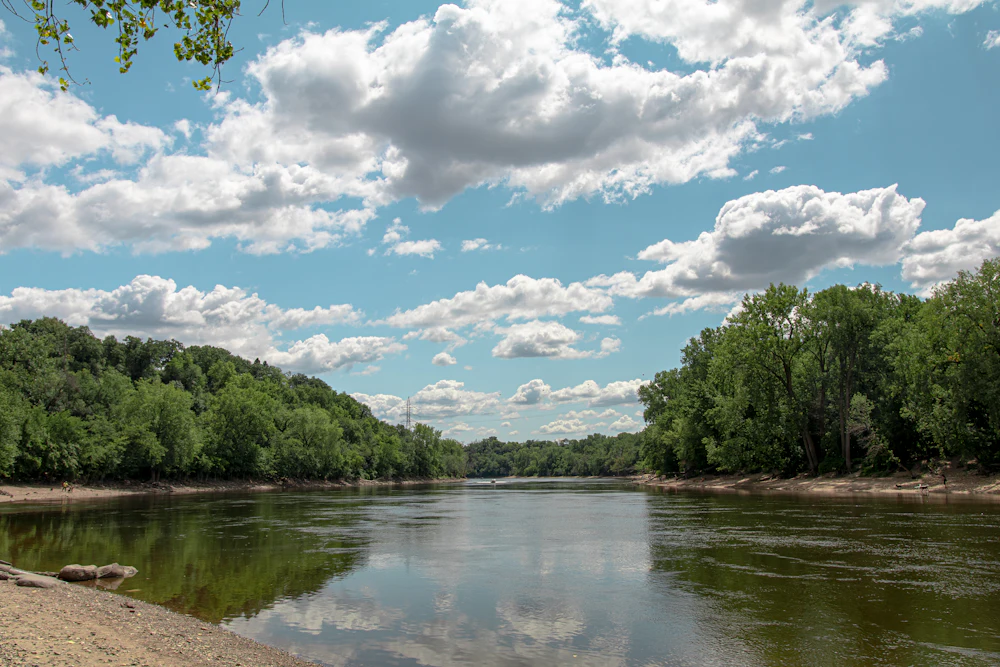 Green trees along a Mississippi river under blue sky