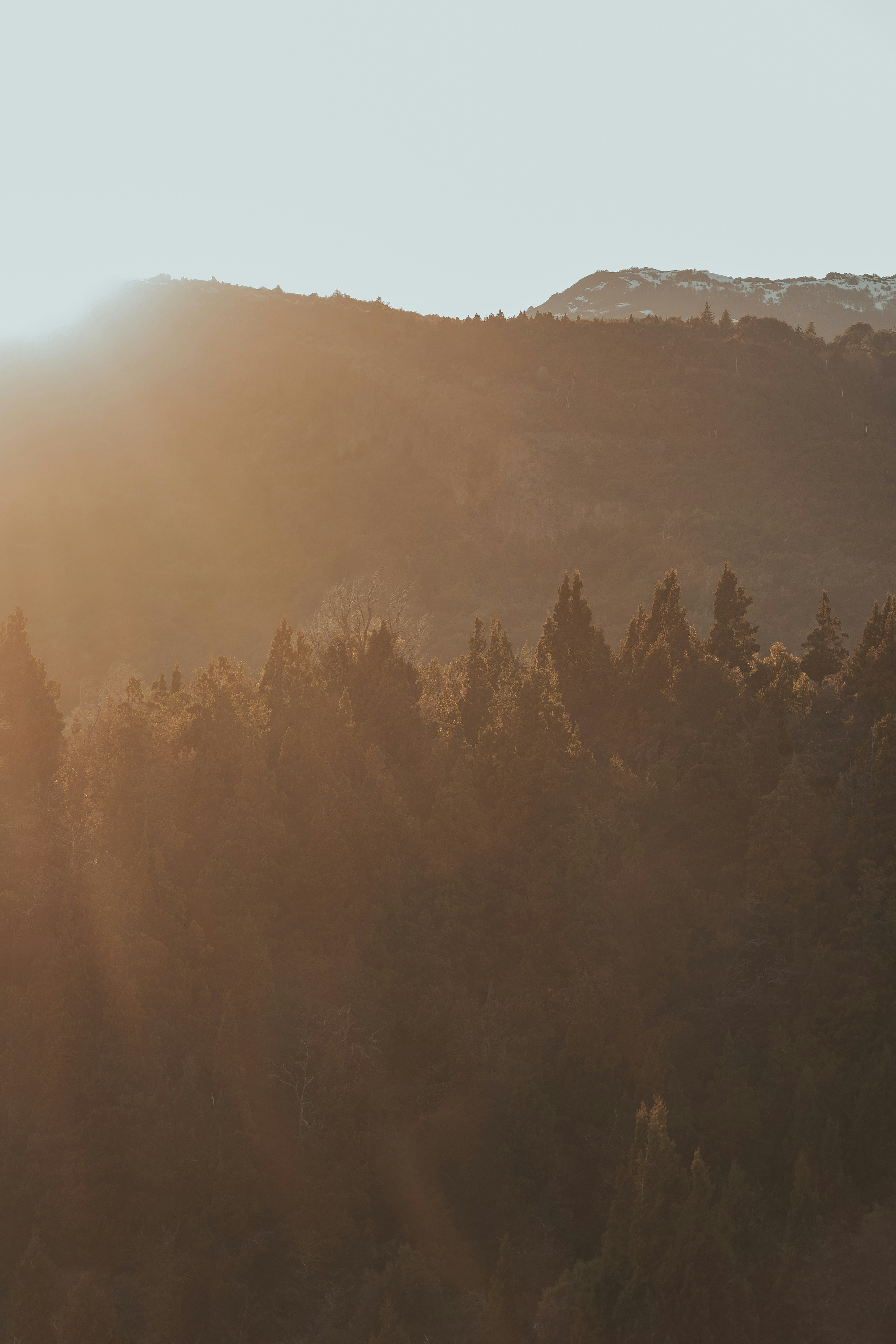 Photo by gasparzaldo