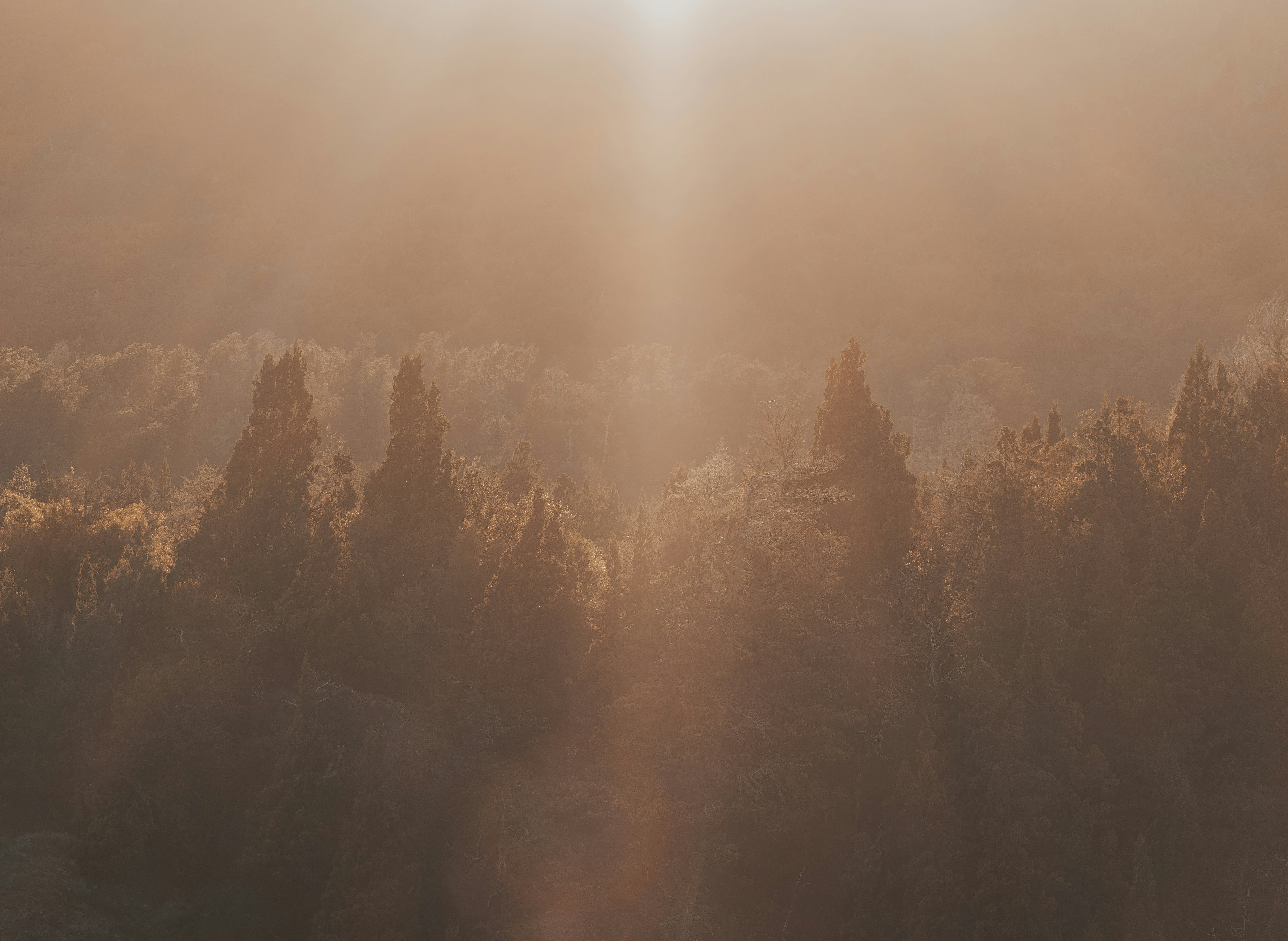 Photo by gasparzaldo