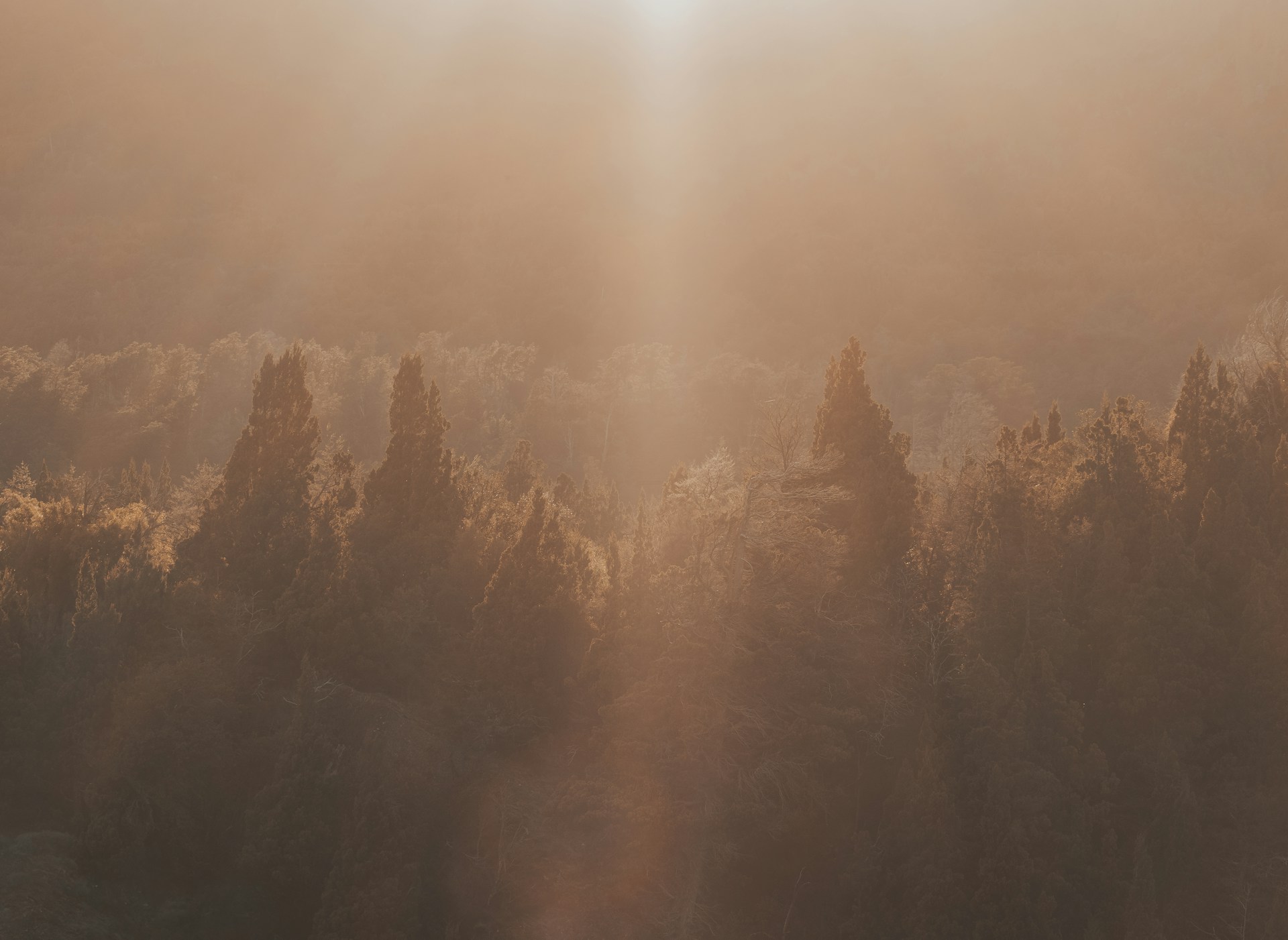 woman wearing yellow long-sleeved dress under white clouds and blue sky during daytime