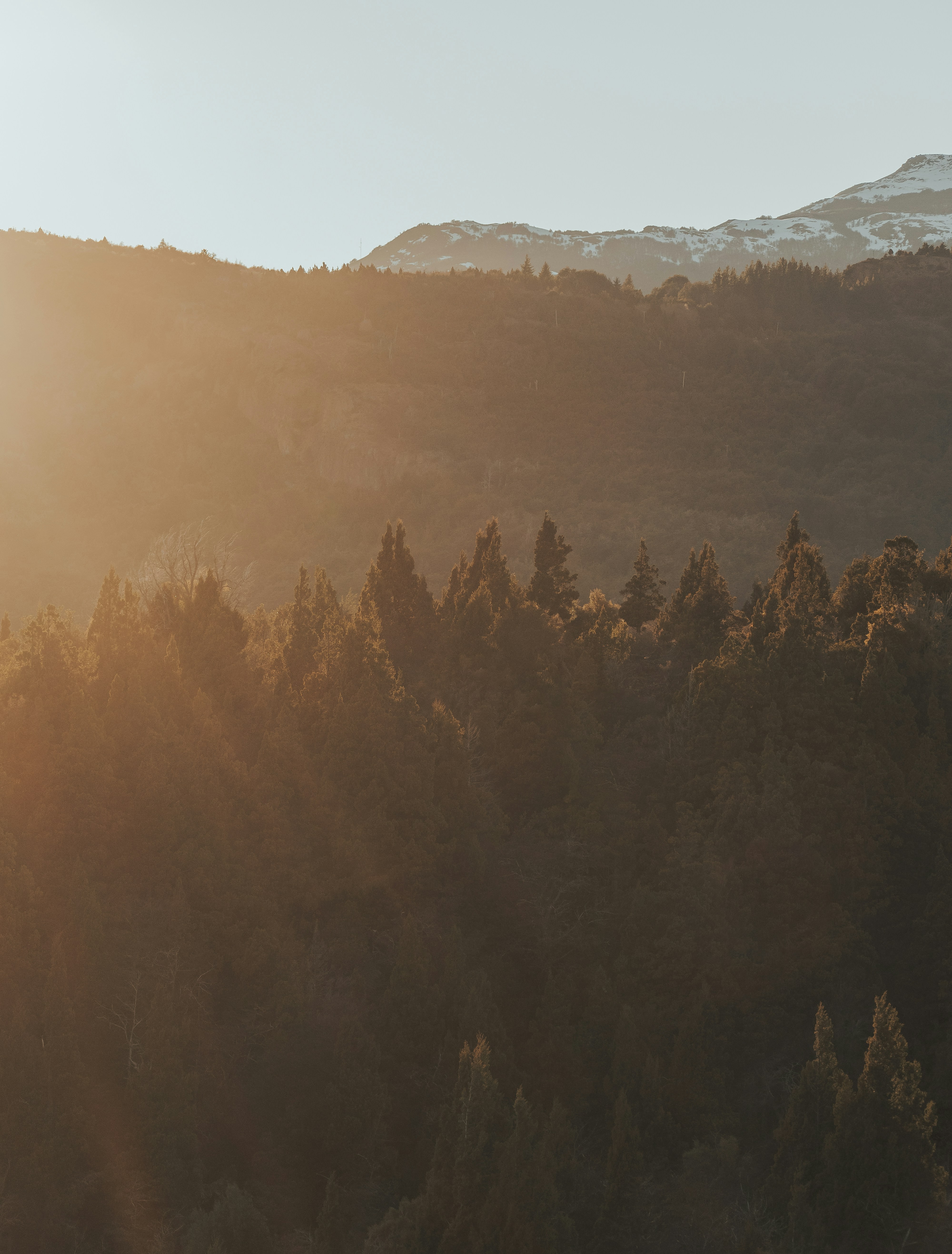 Photo by gasparzaldo