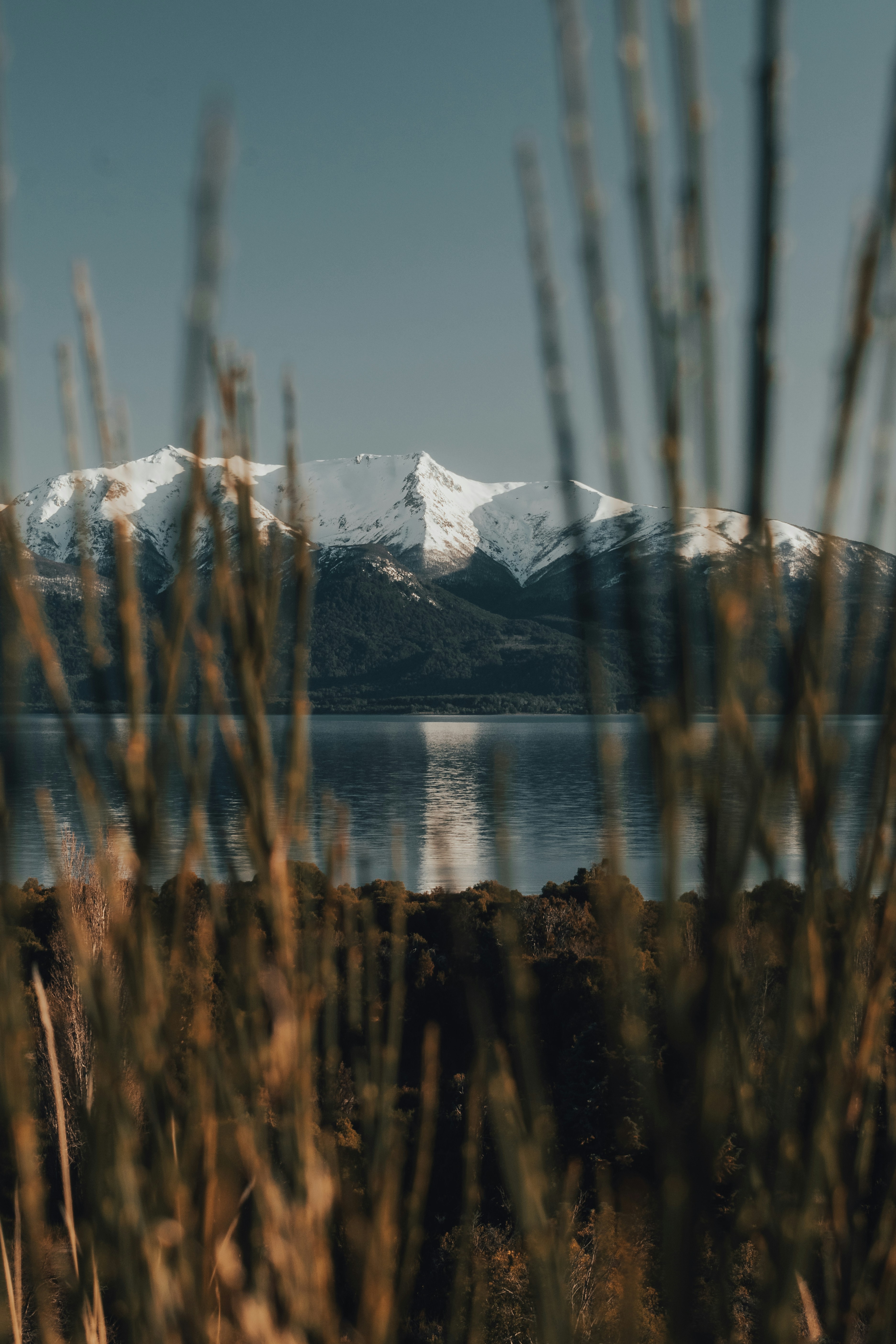 Photo by gasparzaldo