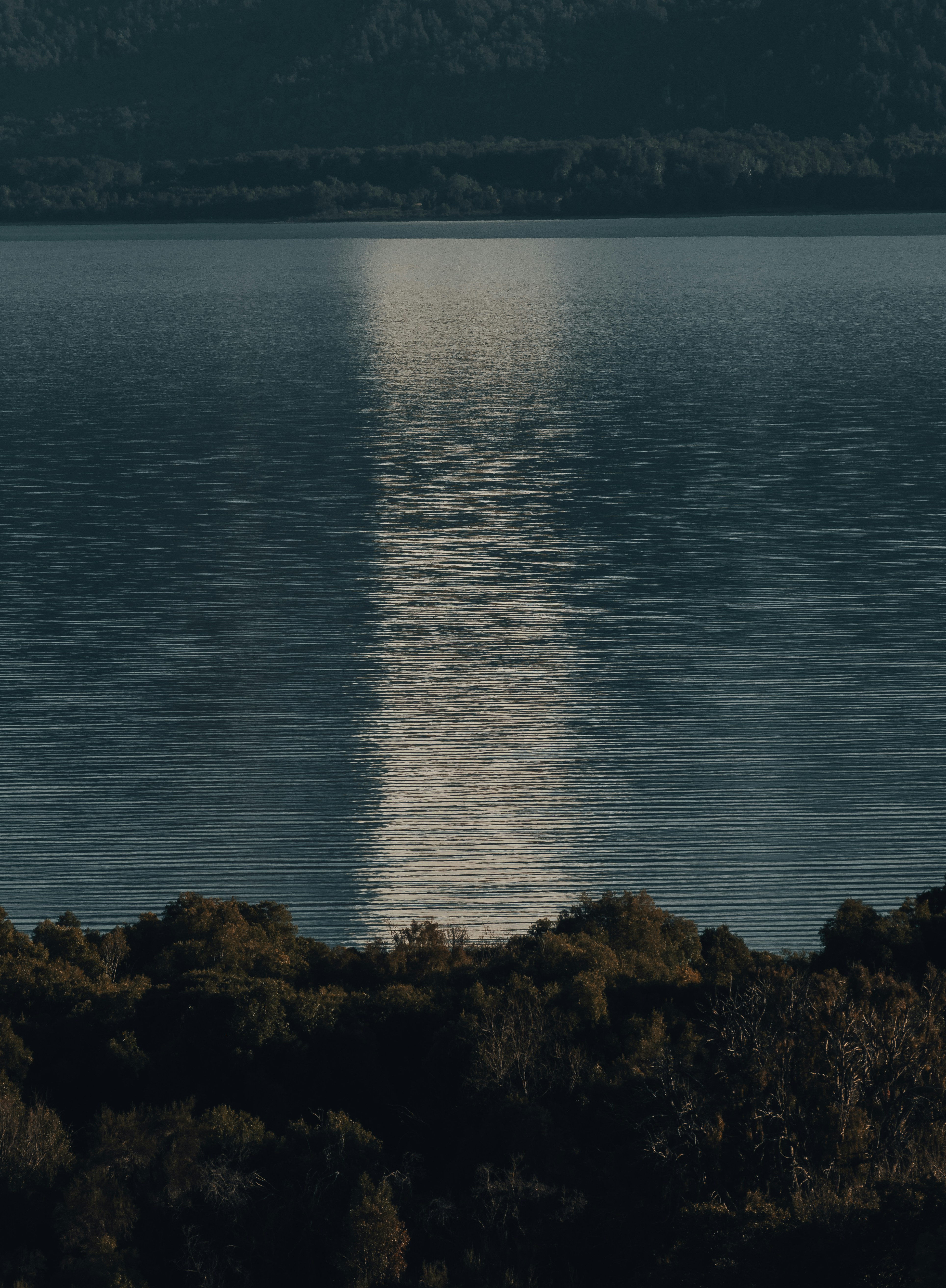 Photo by gasparzaldo