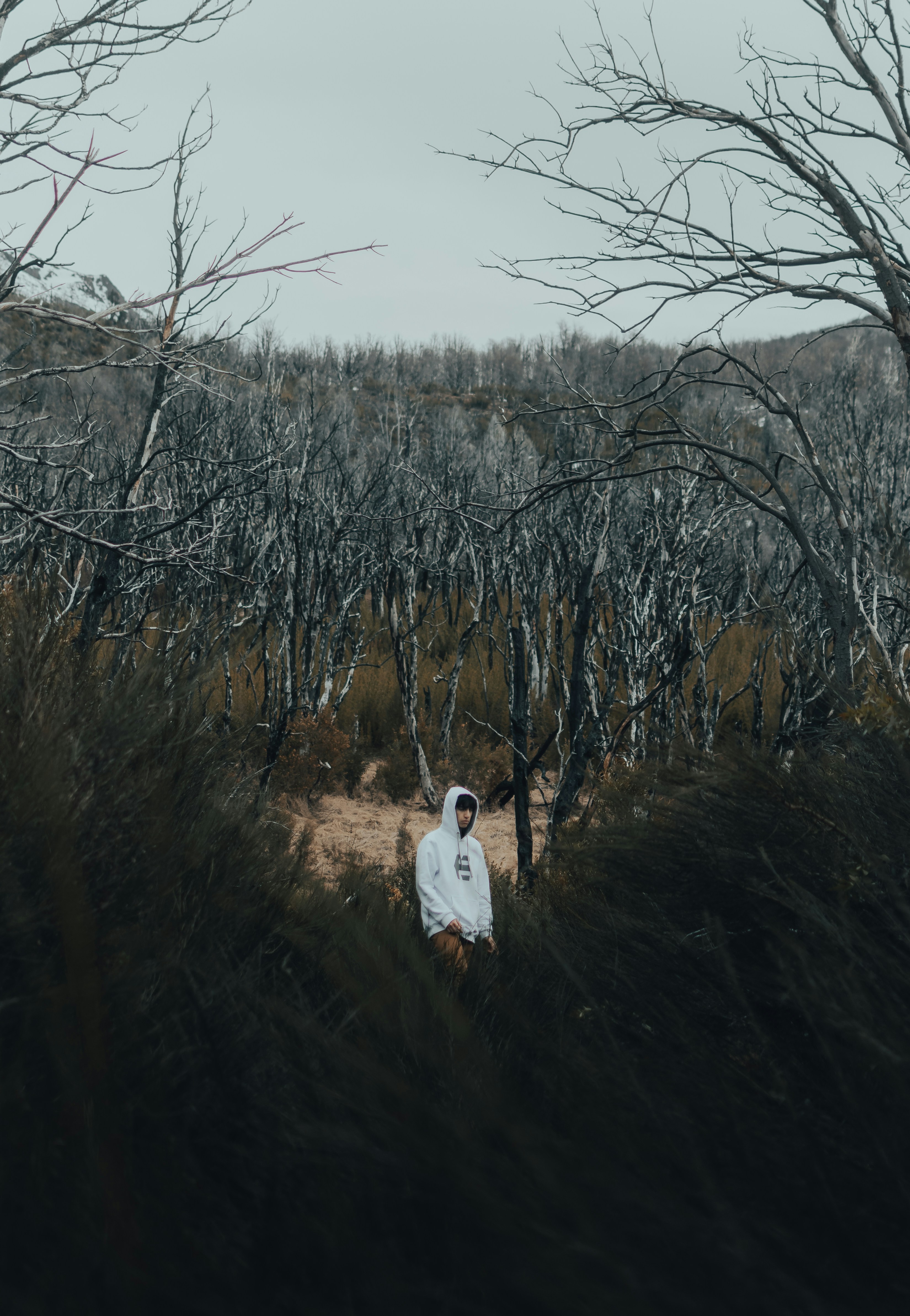 Photo by gasparzaldo