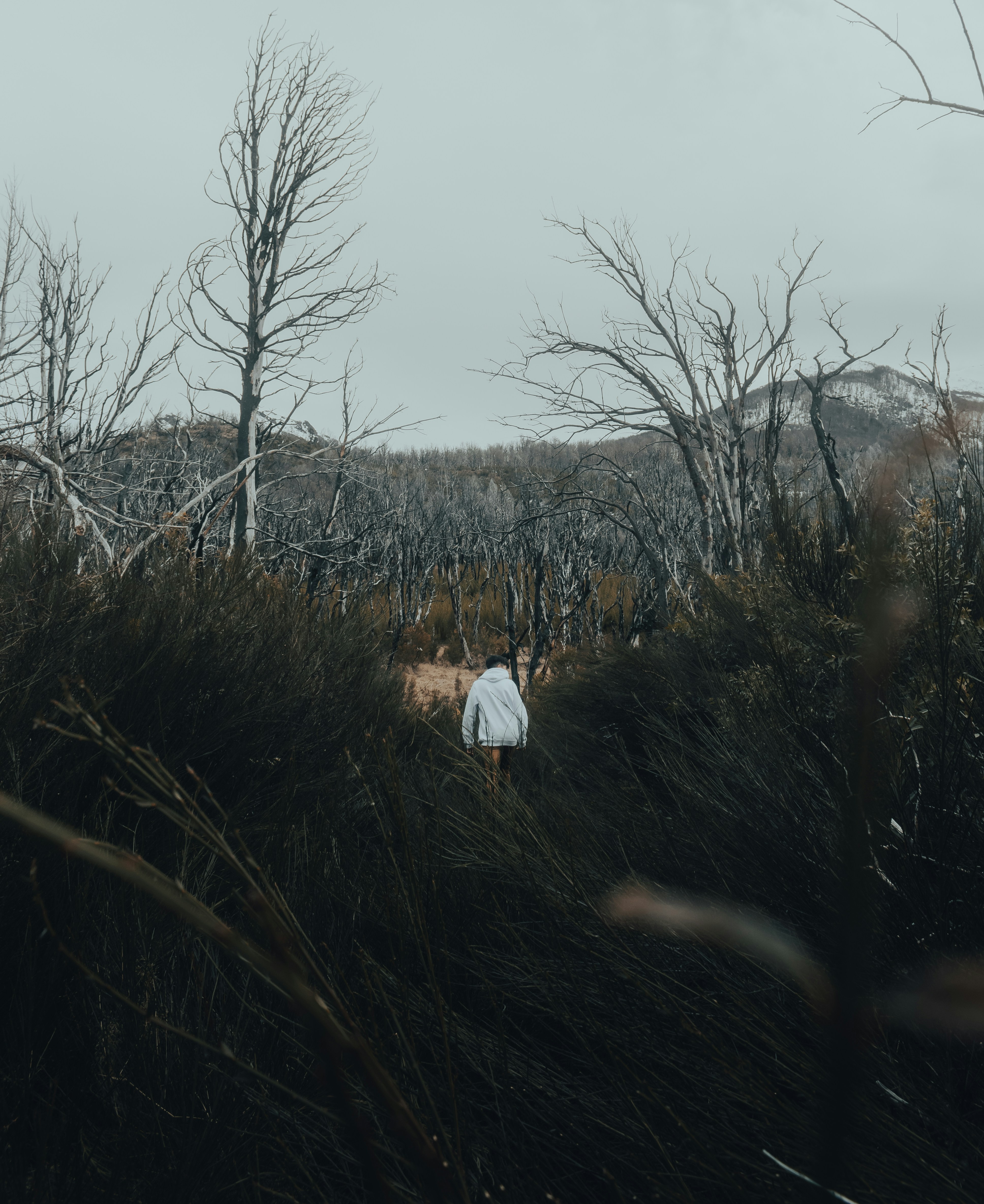 Photo by gasparzaldo