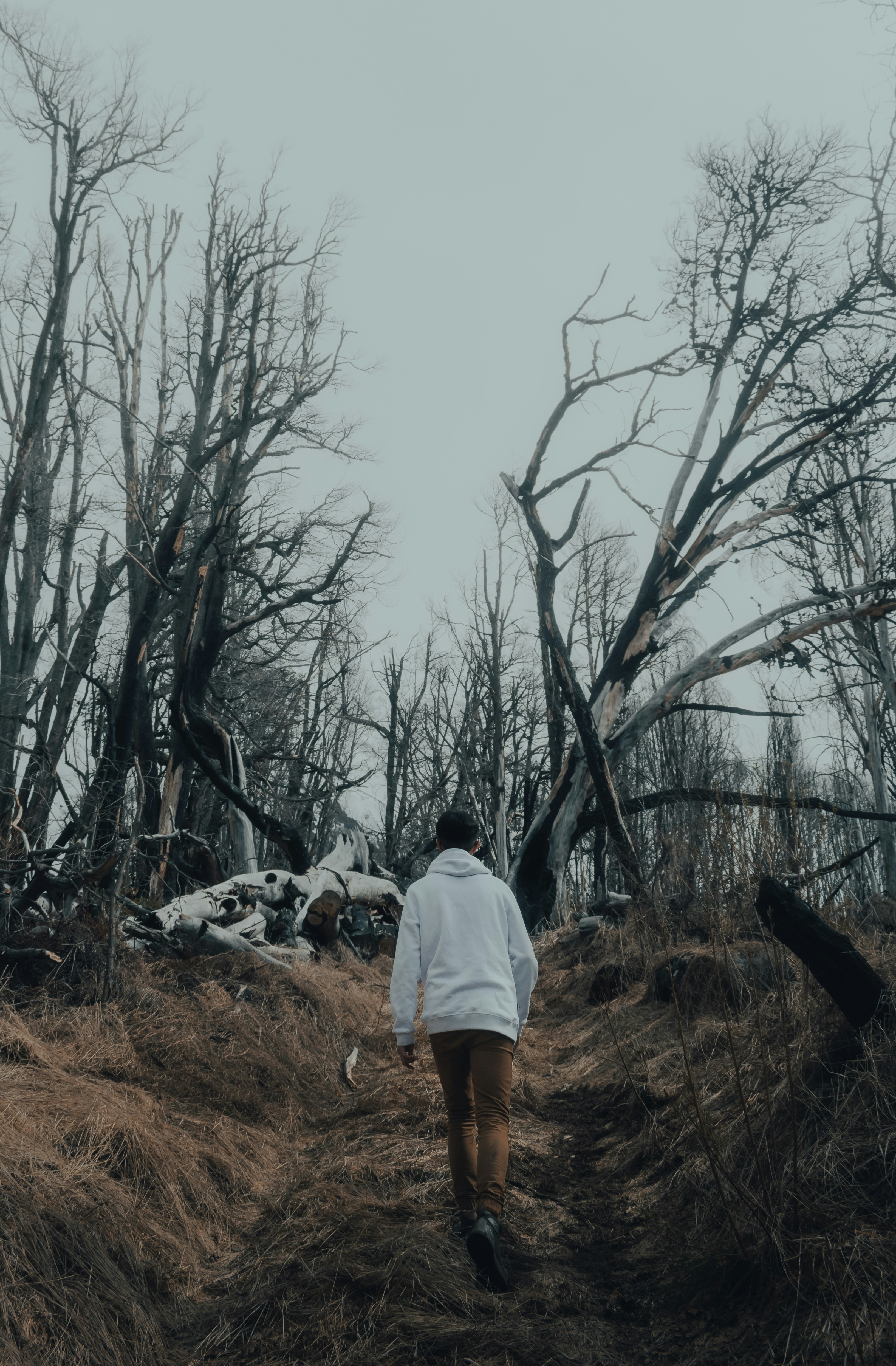 Photo by gasparzaldo