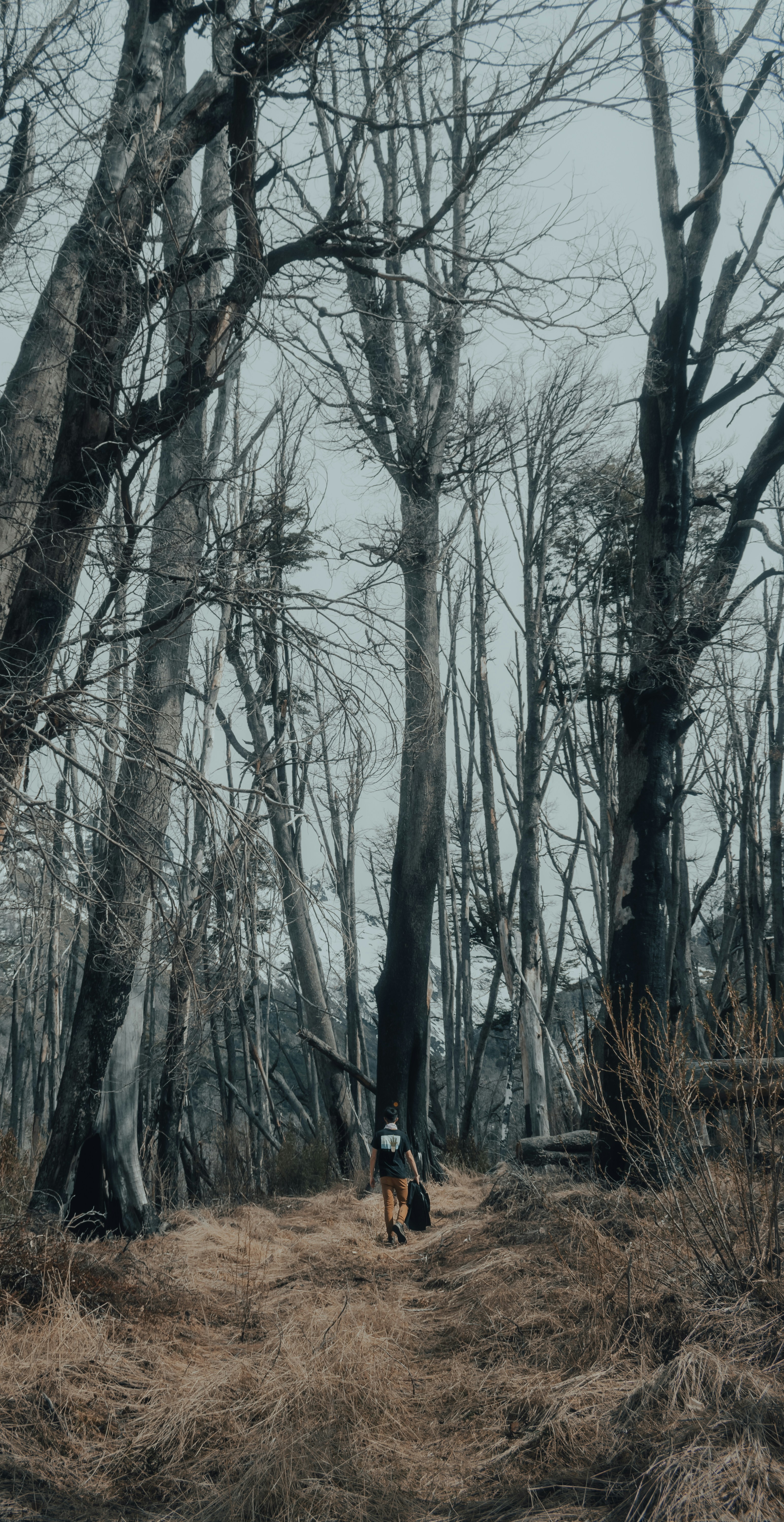 Photo by gasparzaldo