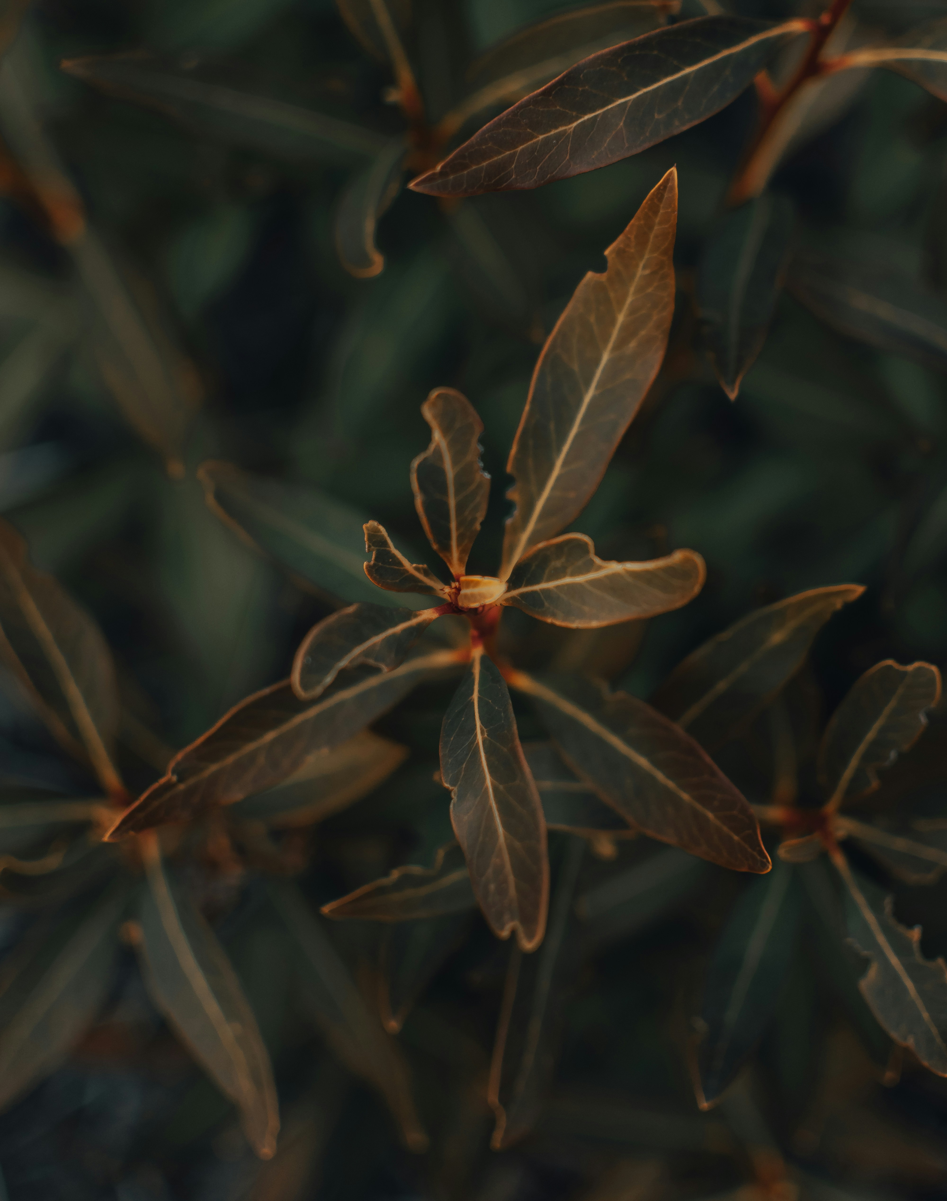 Photo by gasparzaldo