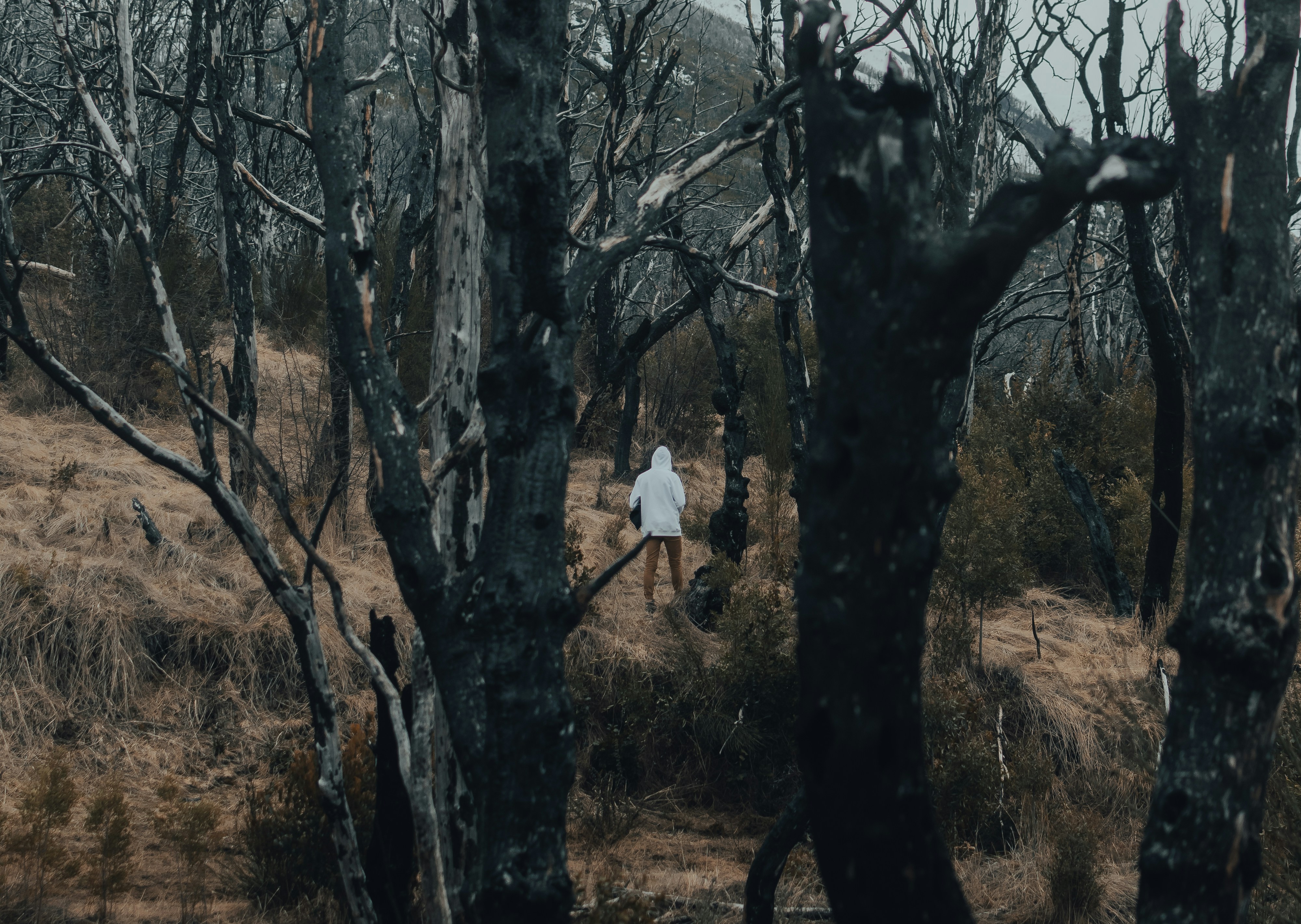 Photo by gasparzaldo