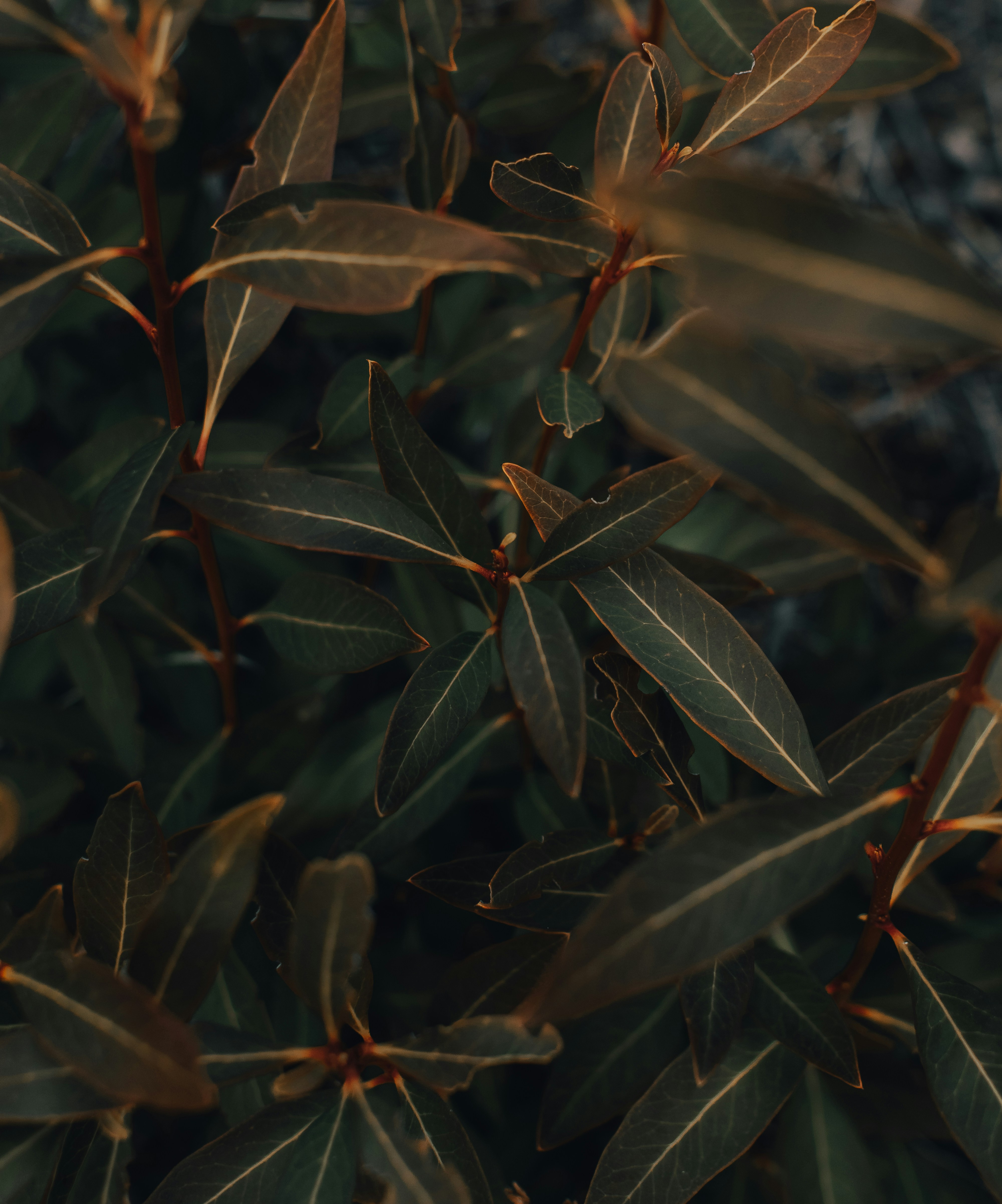 Photo by gasparzaldo