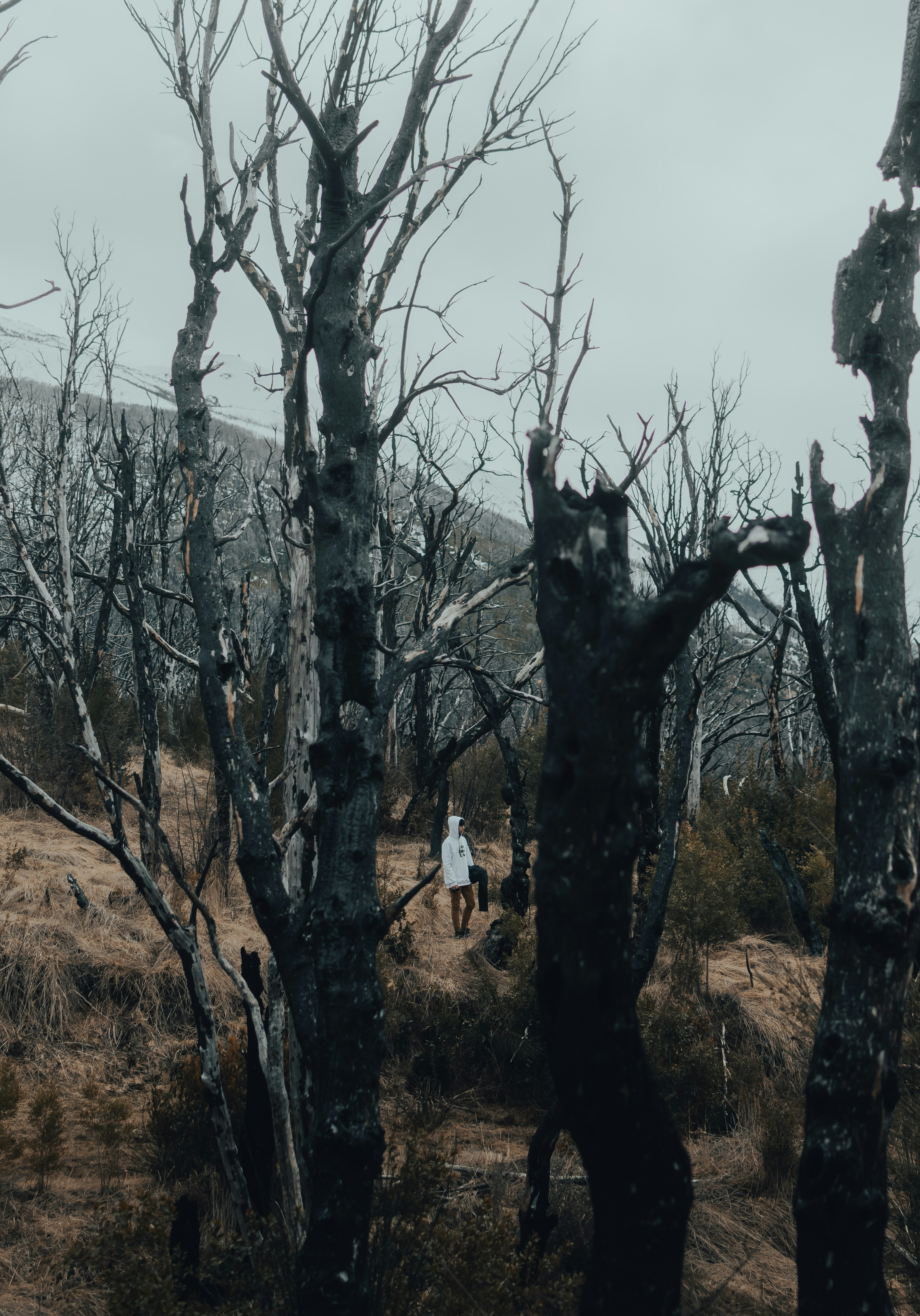 Photo by gasparzaldo