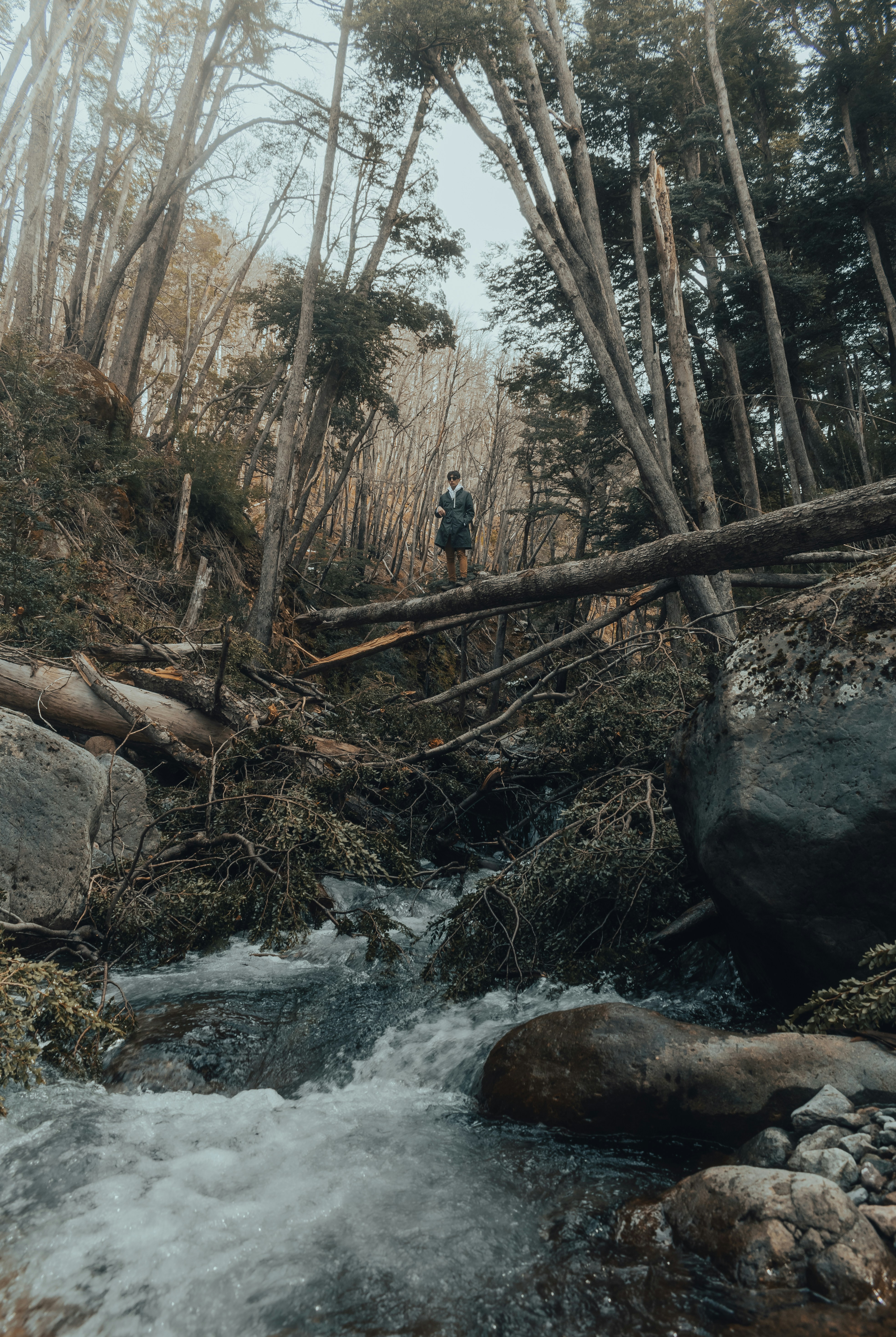 Photo by gasparzaldo