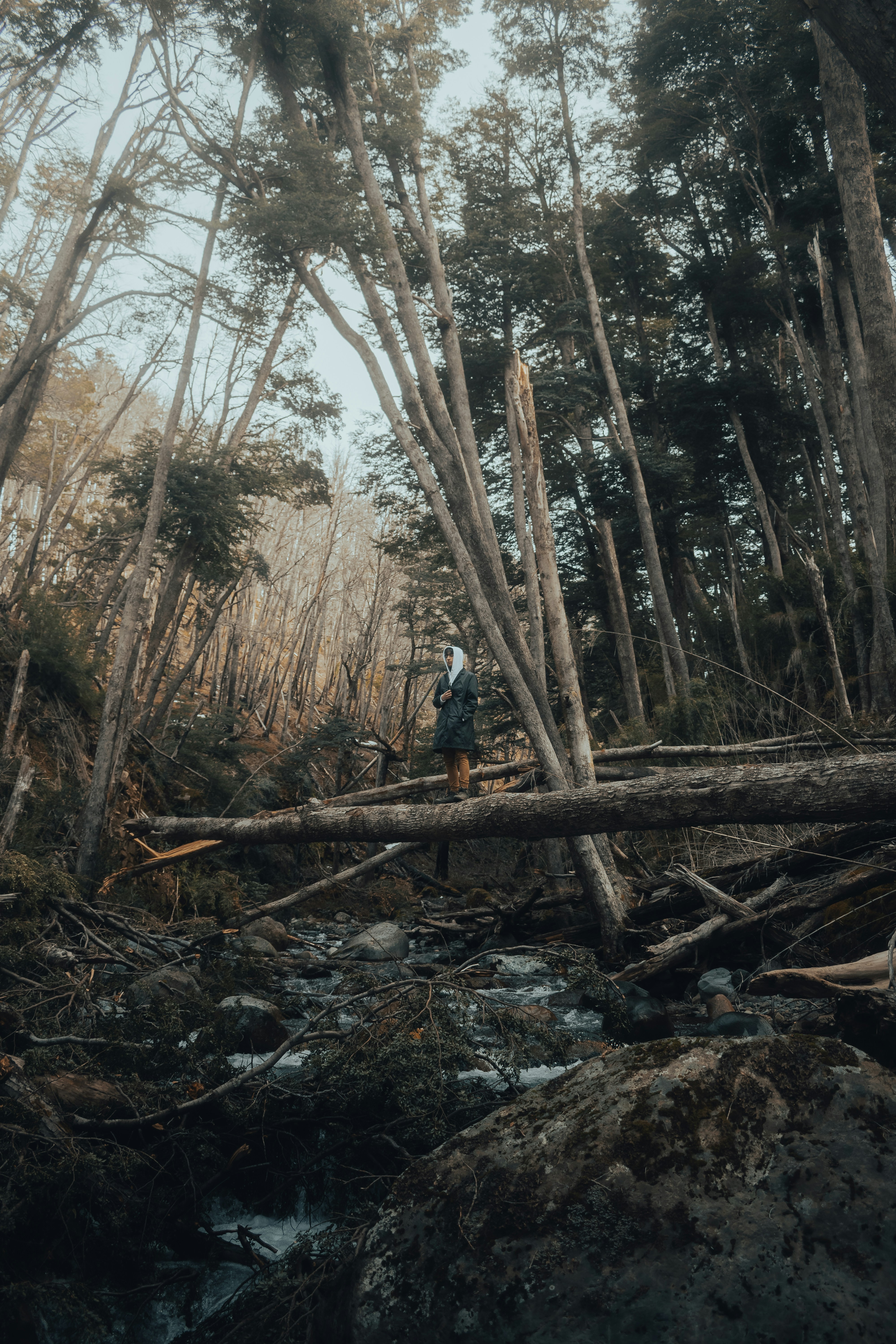 Photo by gasparzaldo