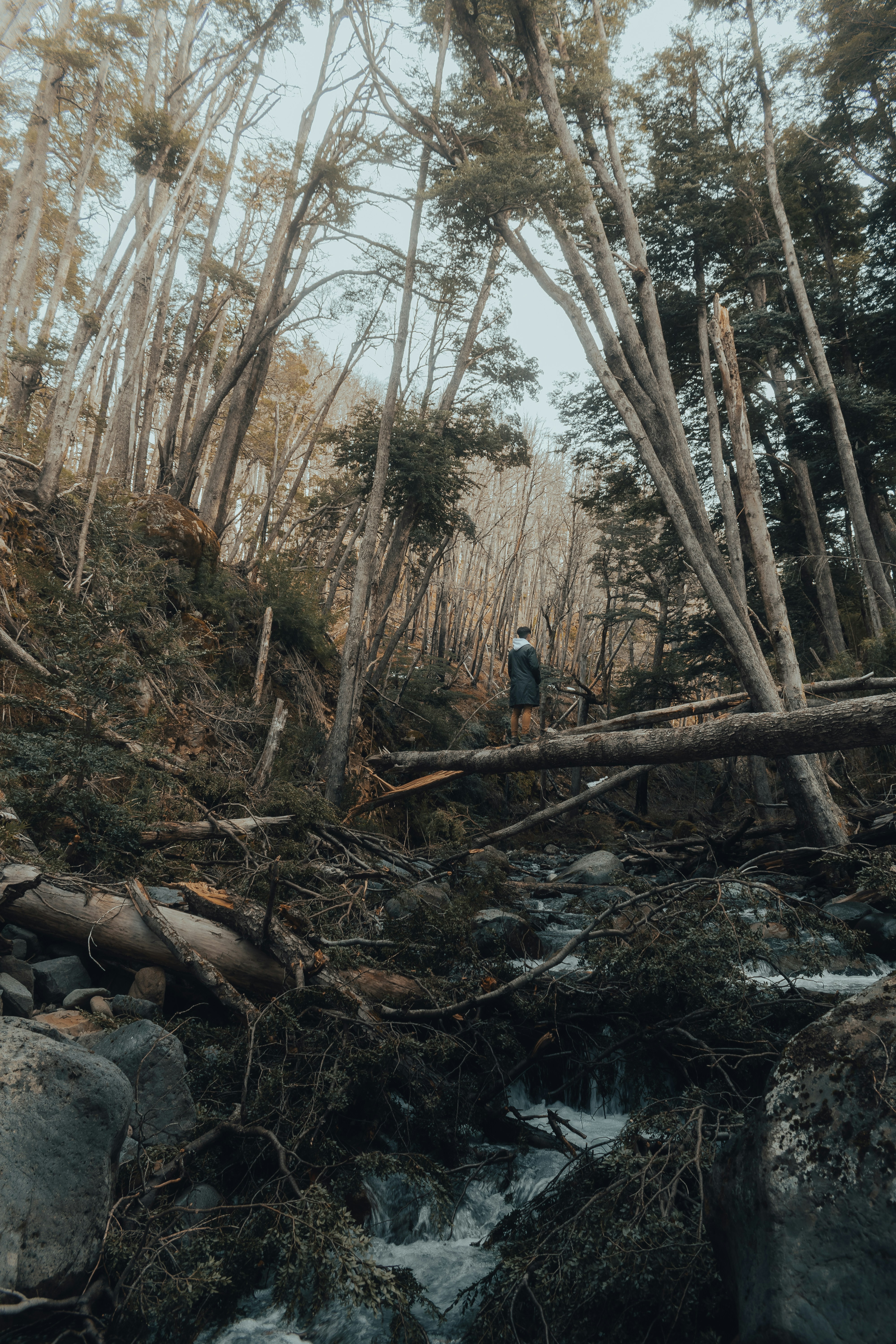 Photo by gasparzaldo