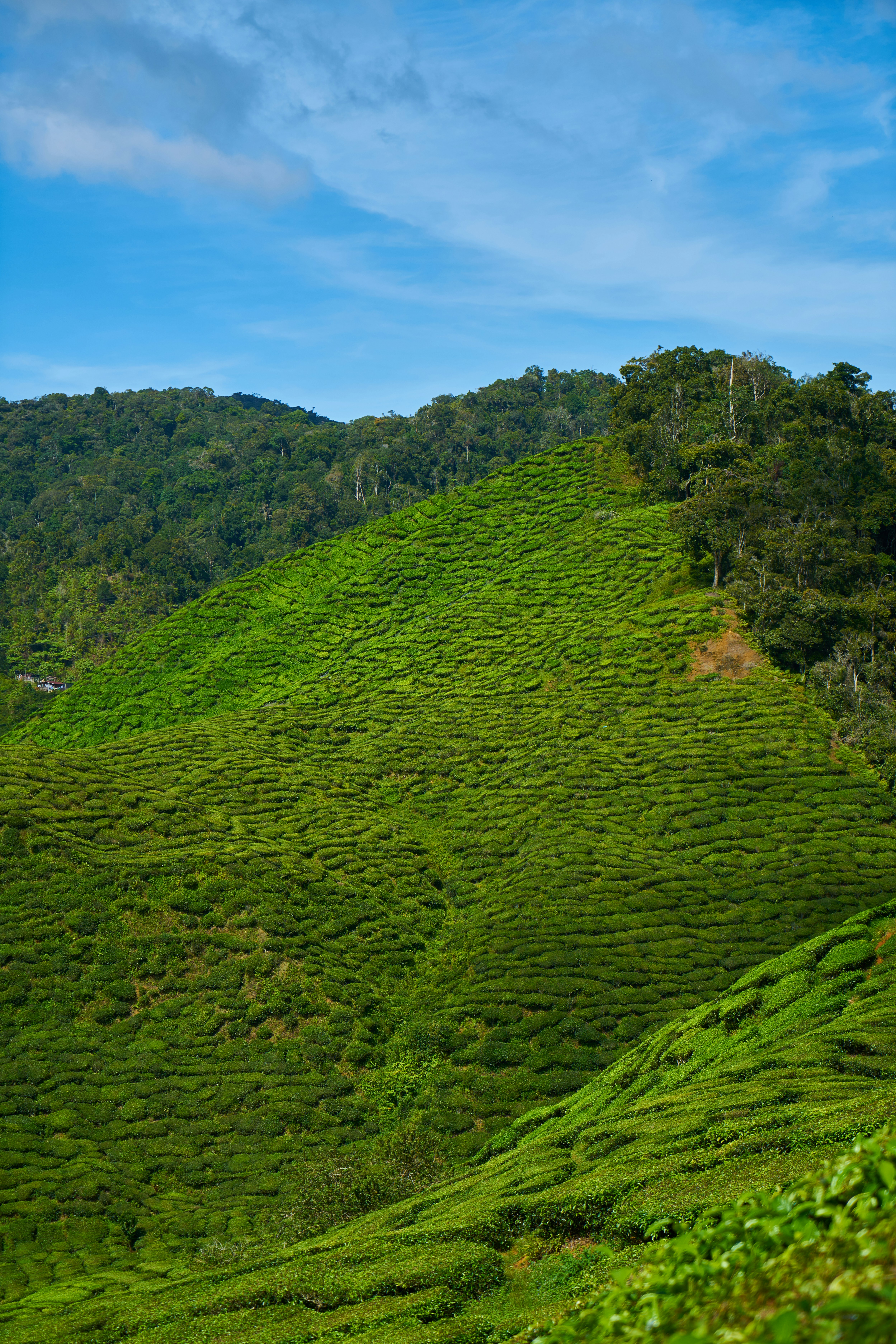 Photo by enginakyurt