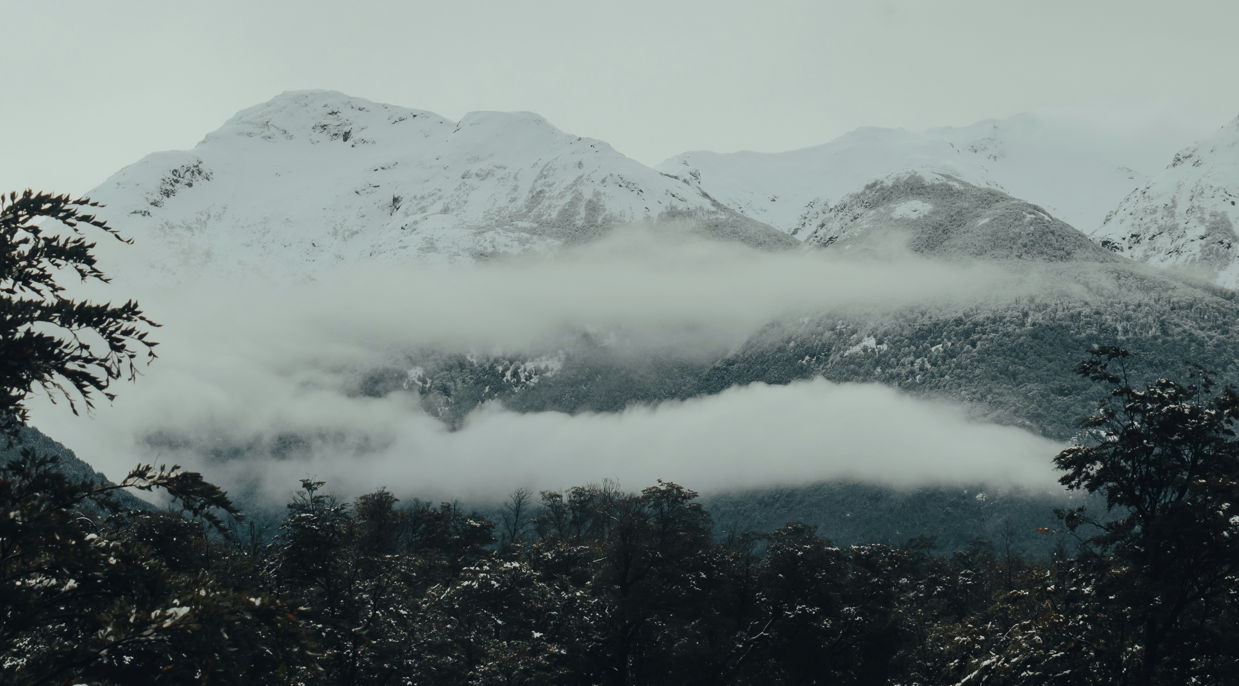 Photo by gasparzaldo