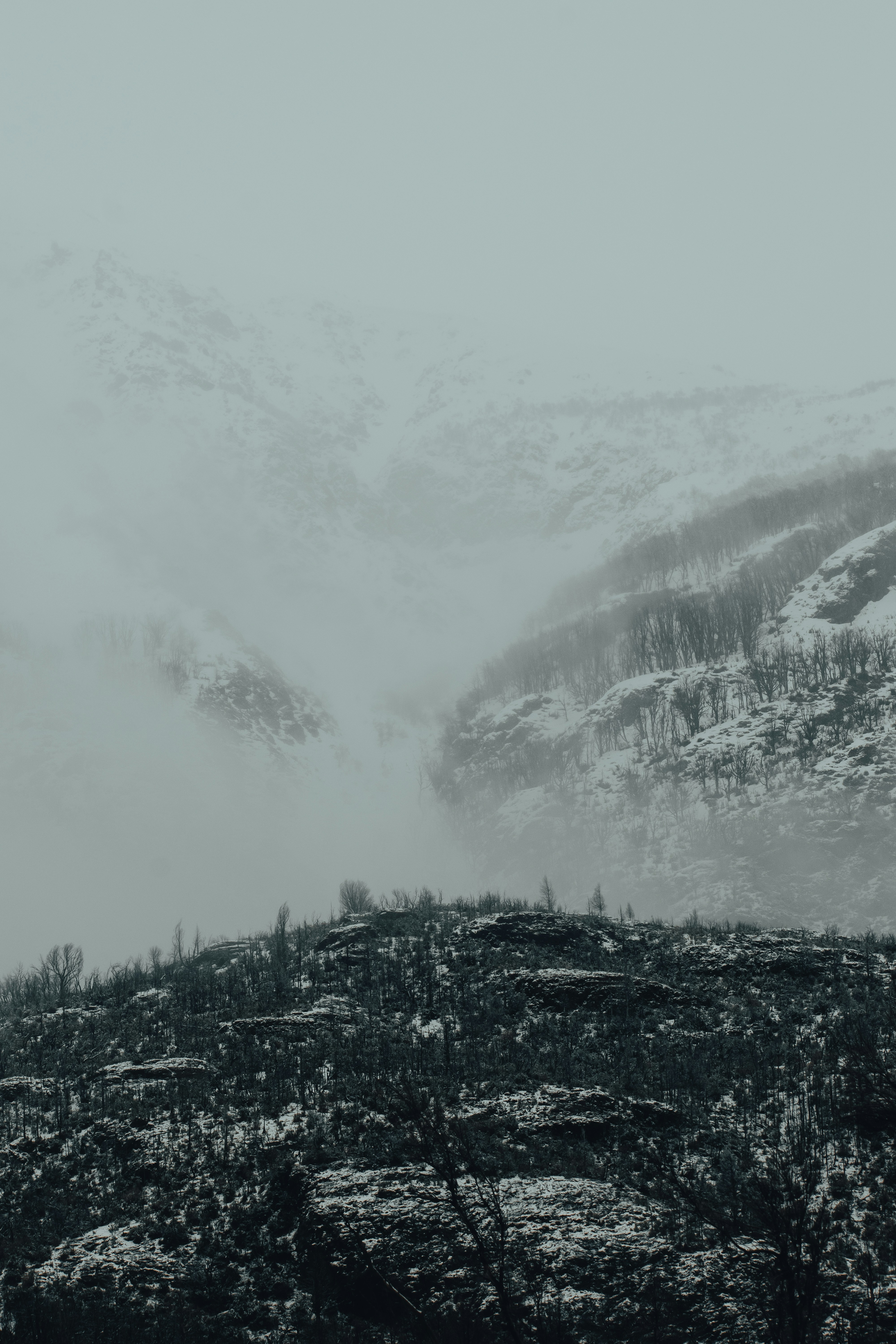 Photo by gasparzaldo