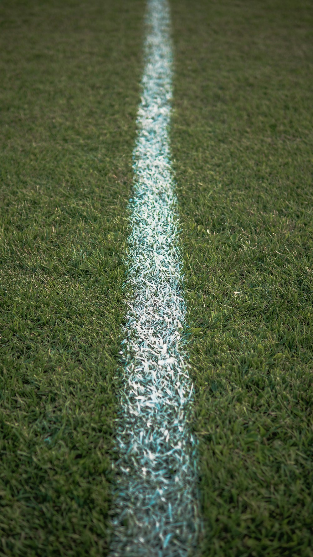 green grass field during daytime