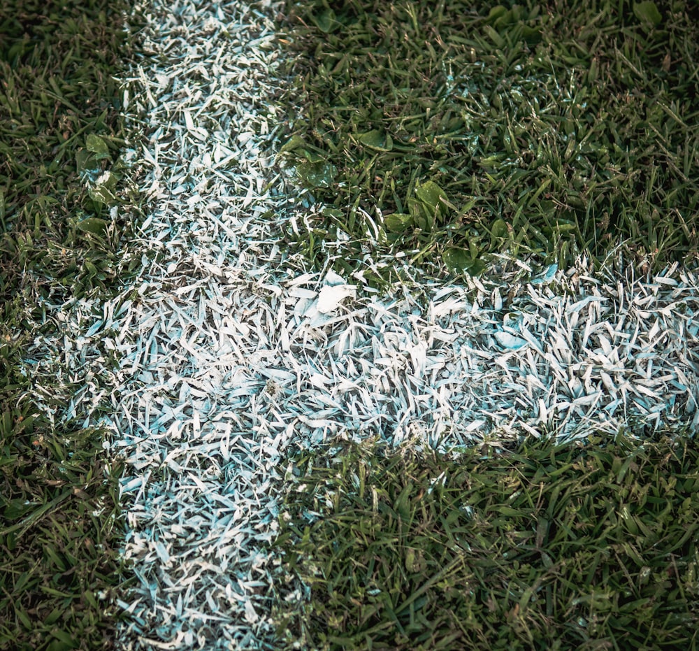 white and black textile on green grass