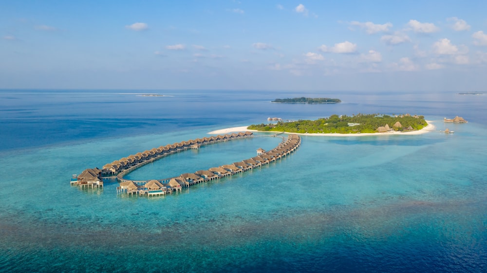 aerial view of green trees beside blue sea during daytime