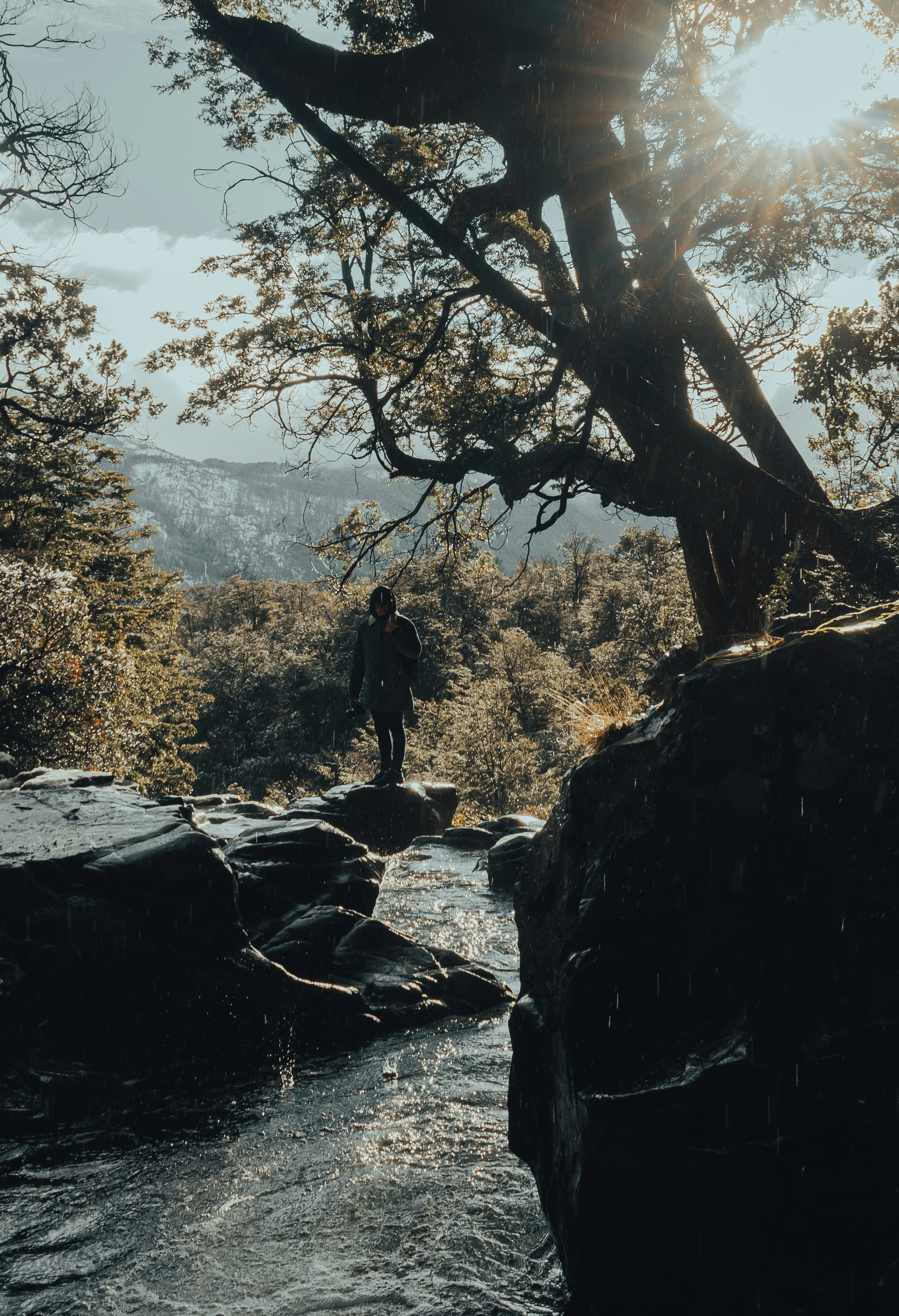 Photo by gasparzaldo