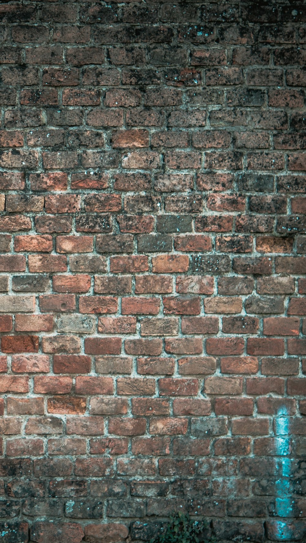 brown and white brick wall