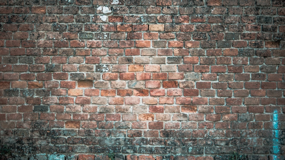 brown and black brick wall