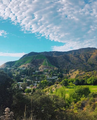 green trees and mountain under blue sky and white clouds during daytime