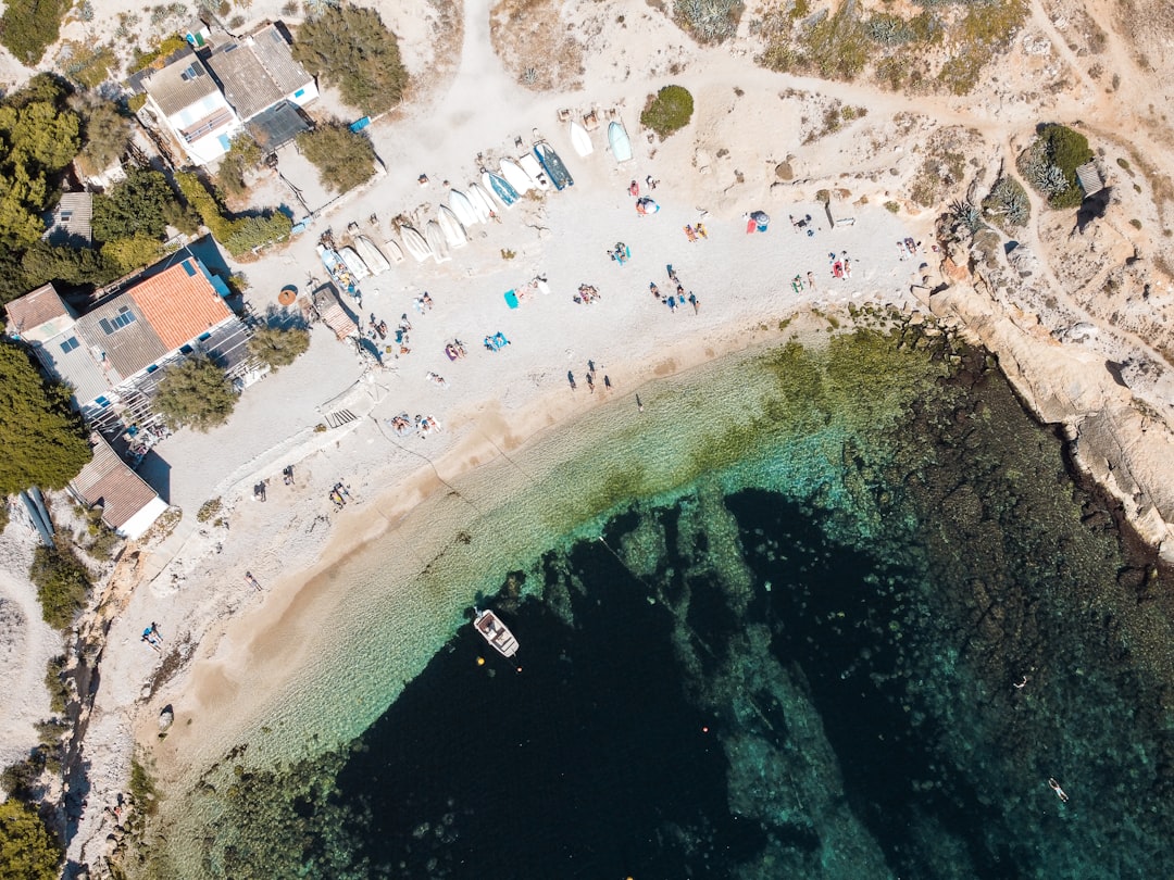 aerial view of people on beach during daytime