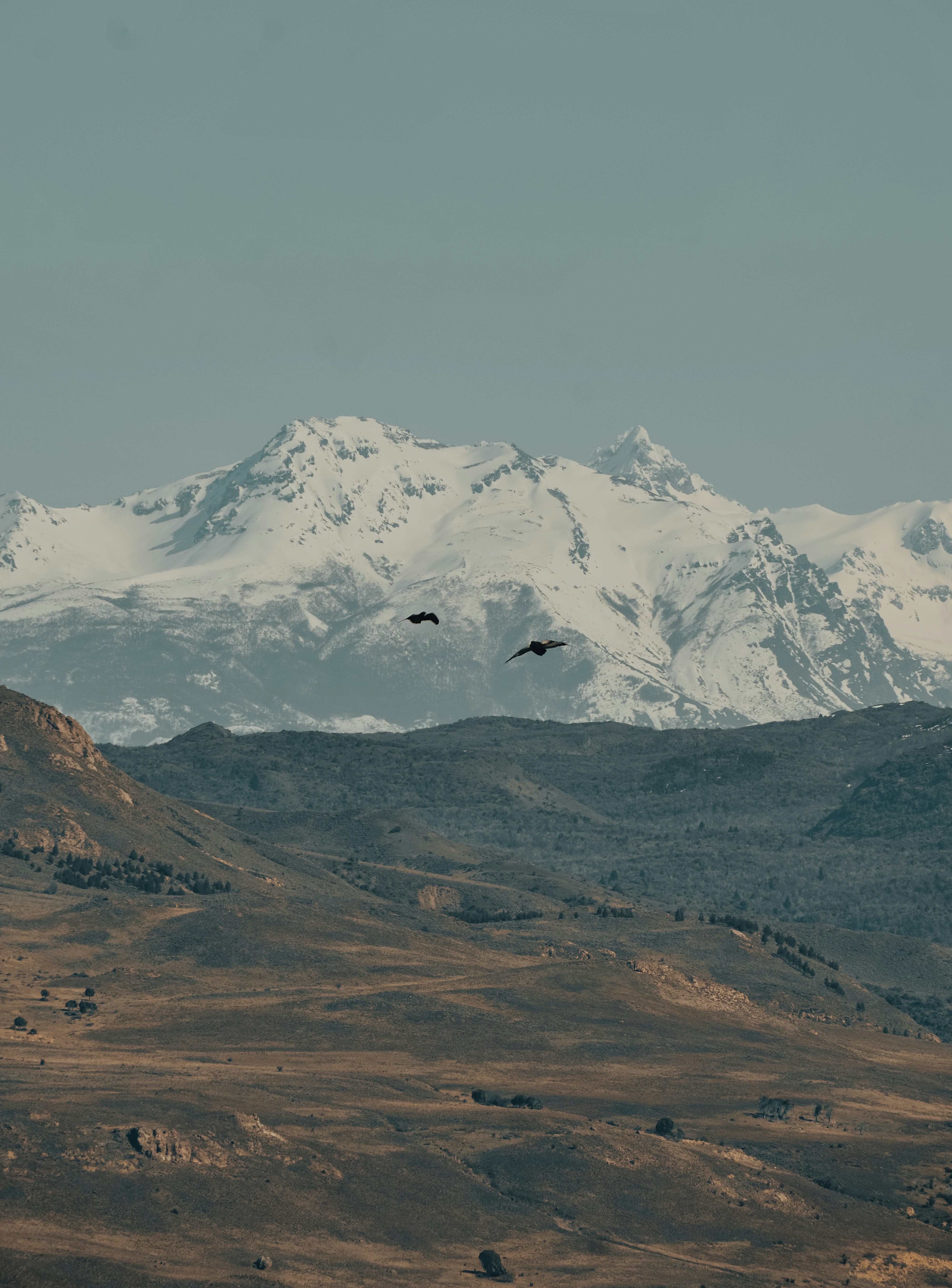 Photo by gasparzaldo