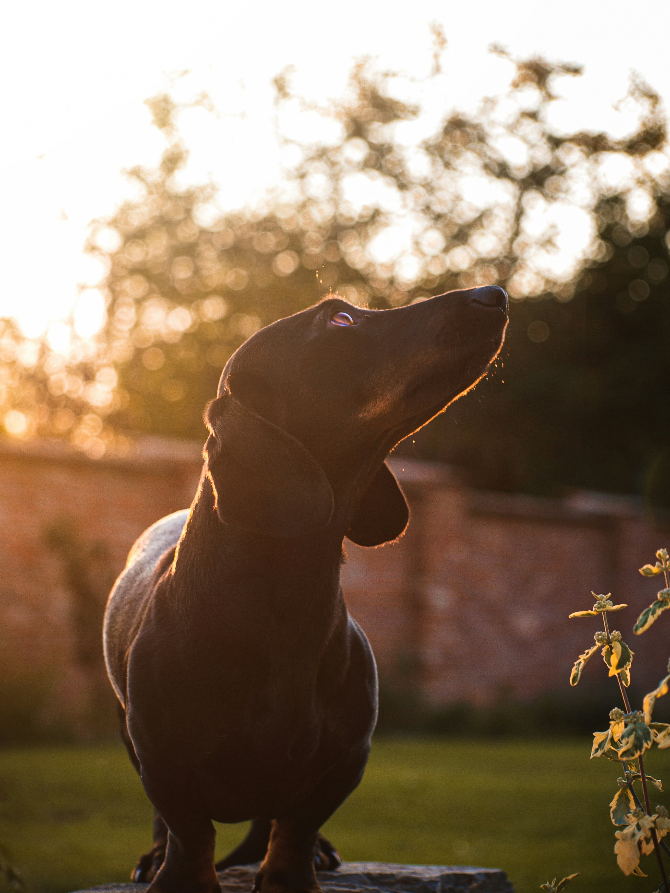 Photo by bencehalmosi