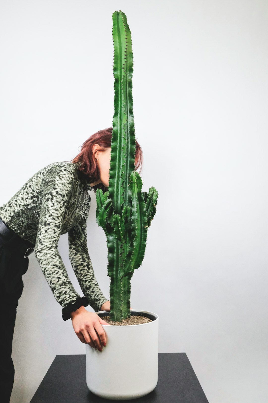 woman in black and white long sleeve shirt holding green plant