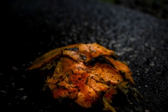 A decaying orange object lies on a dark, textured surface. The dark setting and focus on the worn texture of the object suggest an organic element, such as a fallen, rotting fruit.