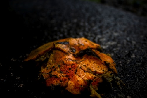 A decaying orange object lies on a dark, textured surface. The dark setting and focus on the worn texture of the object suggest an organic element, such as a fallen, rotting fruit.