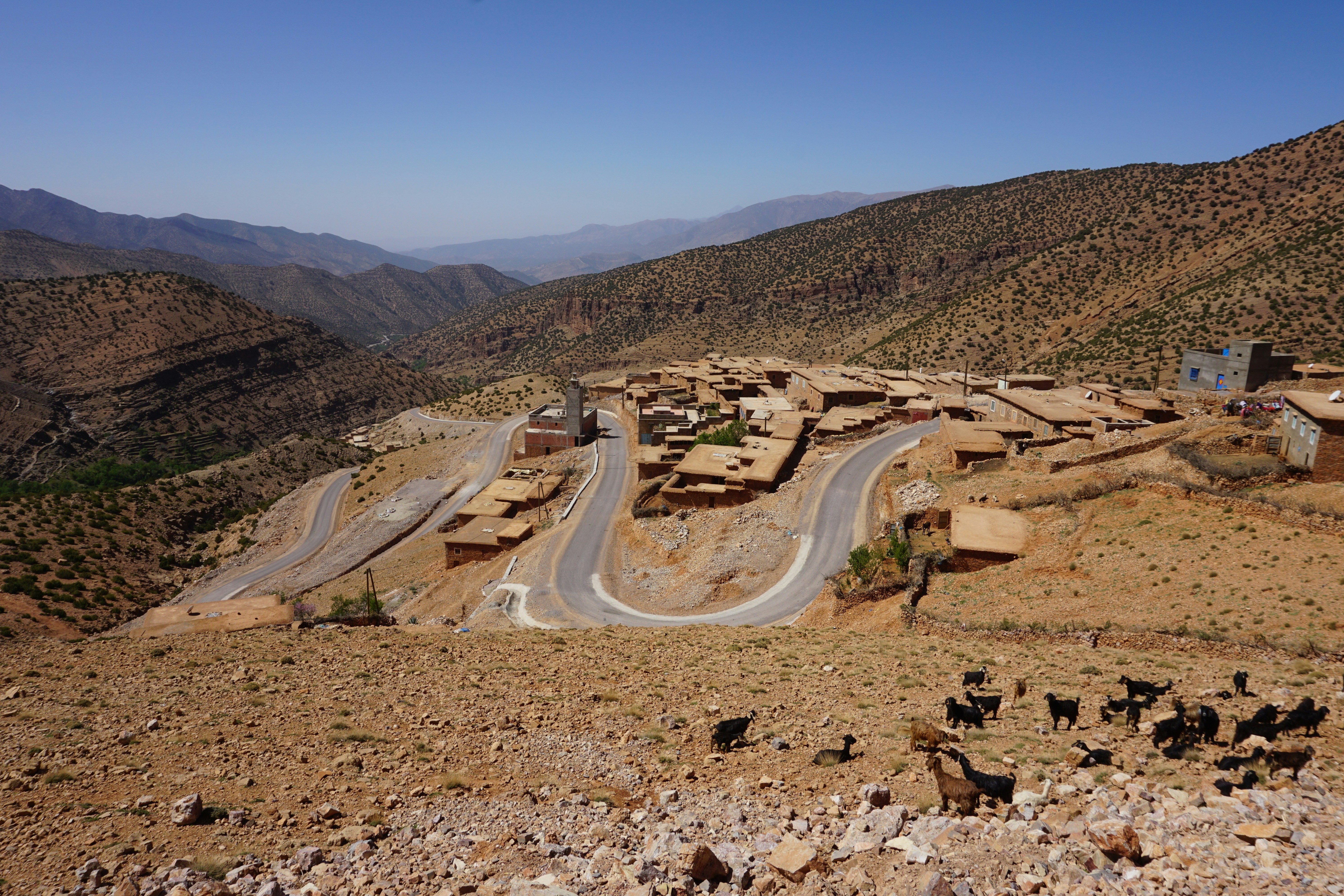 Photo by ondrej_matous