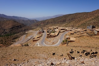 A rural village is nestled in a mountainous terrain with winding roads connecting small, flat-roofed buildings. Sparse vegetation covers the hillsides, and a herd of goats is grazing in the foreground.