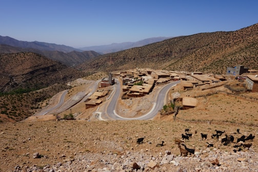 A rural village is nestled in a mountainous terrain with winding roads connecting small, flat-roofed buildings. Sparse vegetation covers the hillsides, and a herd of goats is grazing in the foreground.